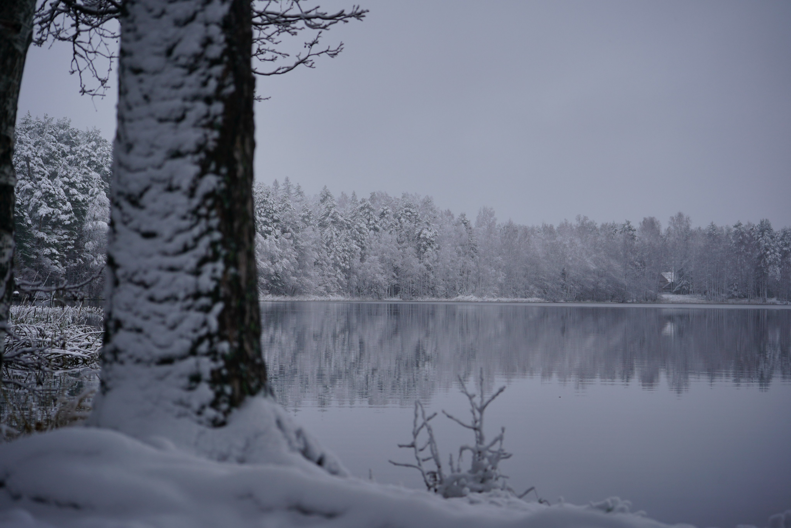 Разное. Фотограф в Санкт-Петербурге Виктория Барышникова