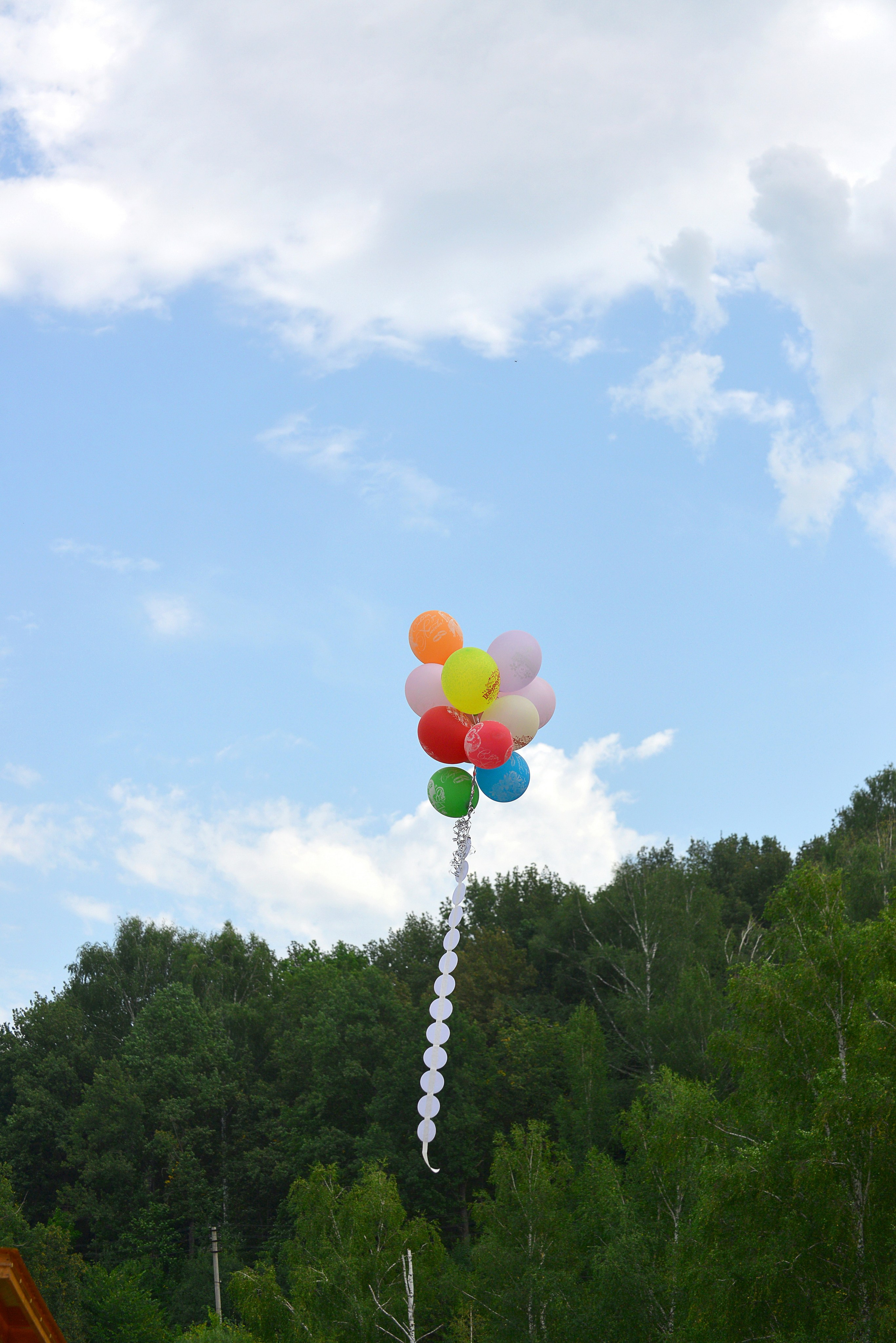 Альбина и Руслан. Евгения Усманова — семейный фотограф в городах Стерлитамак и Уфа