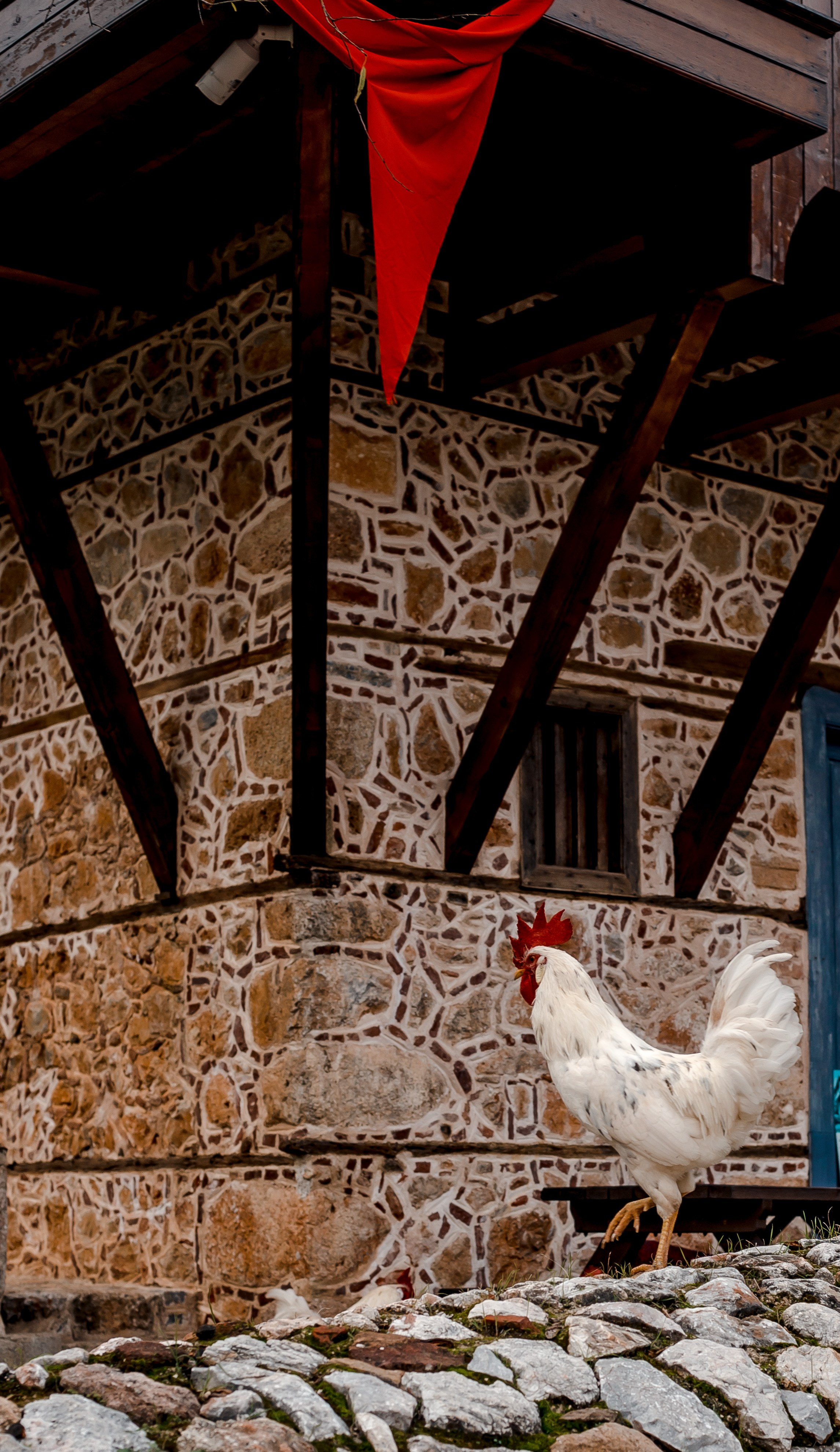 Turkey, Alanya. Art Photographer