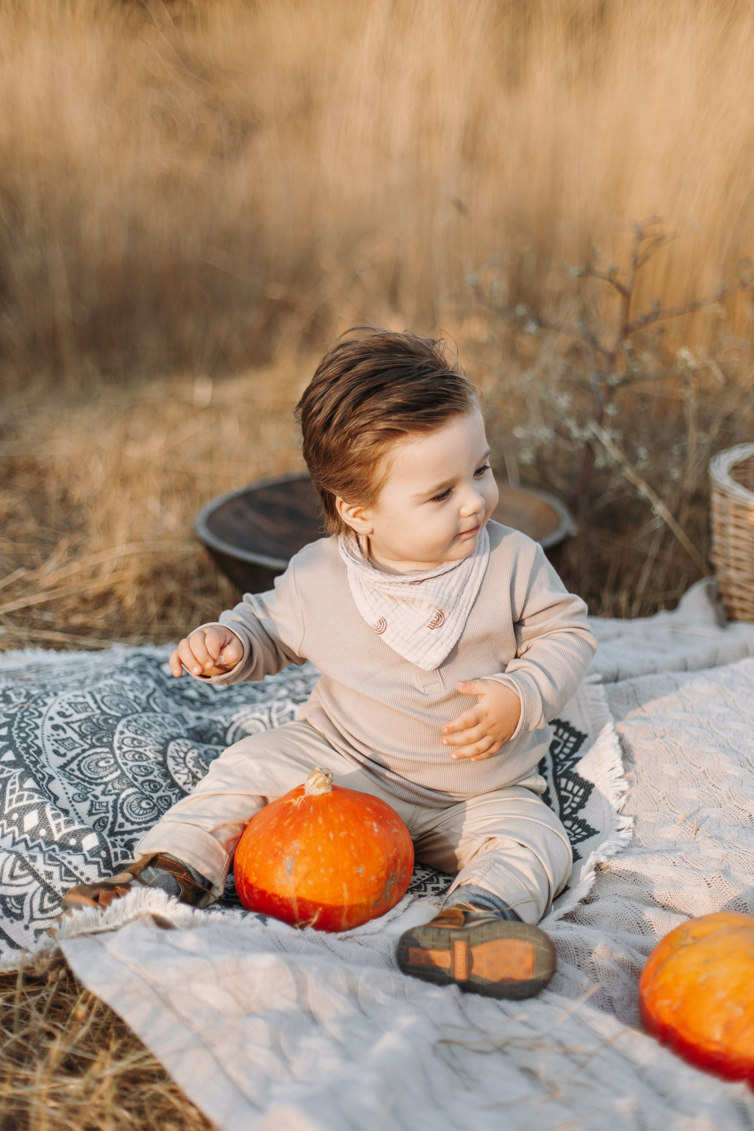 Autumn Picnic. Фотограф на Юге России