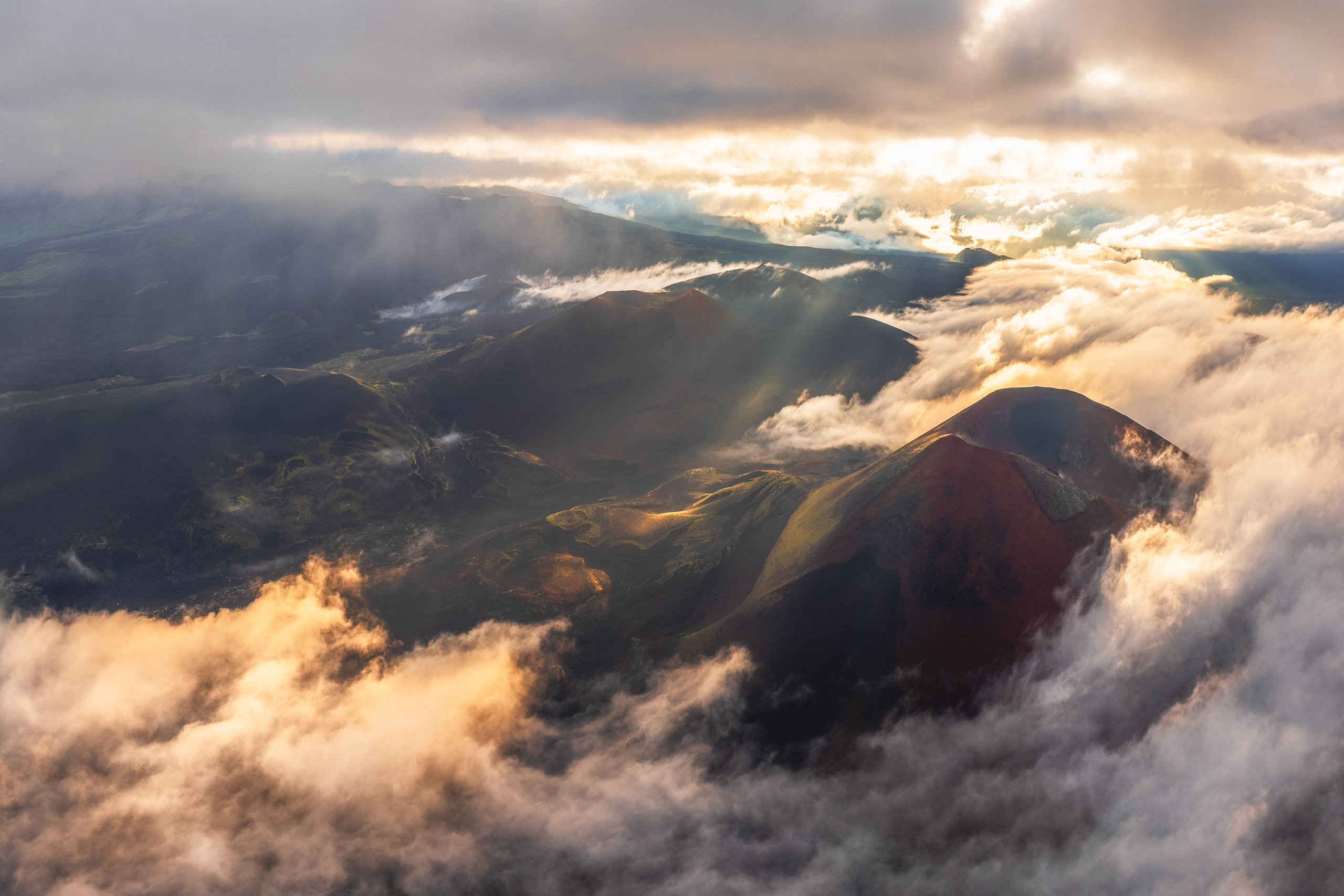 Andrew Gusarov Nature Photography