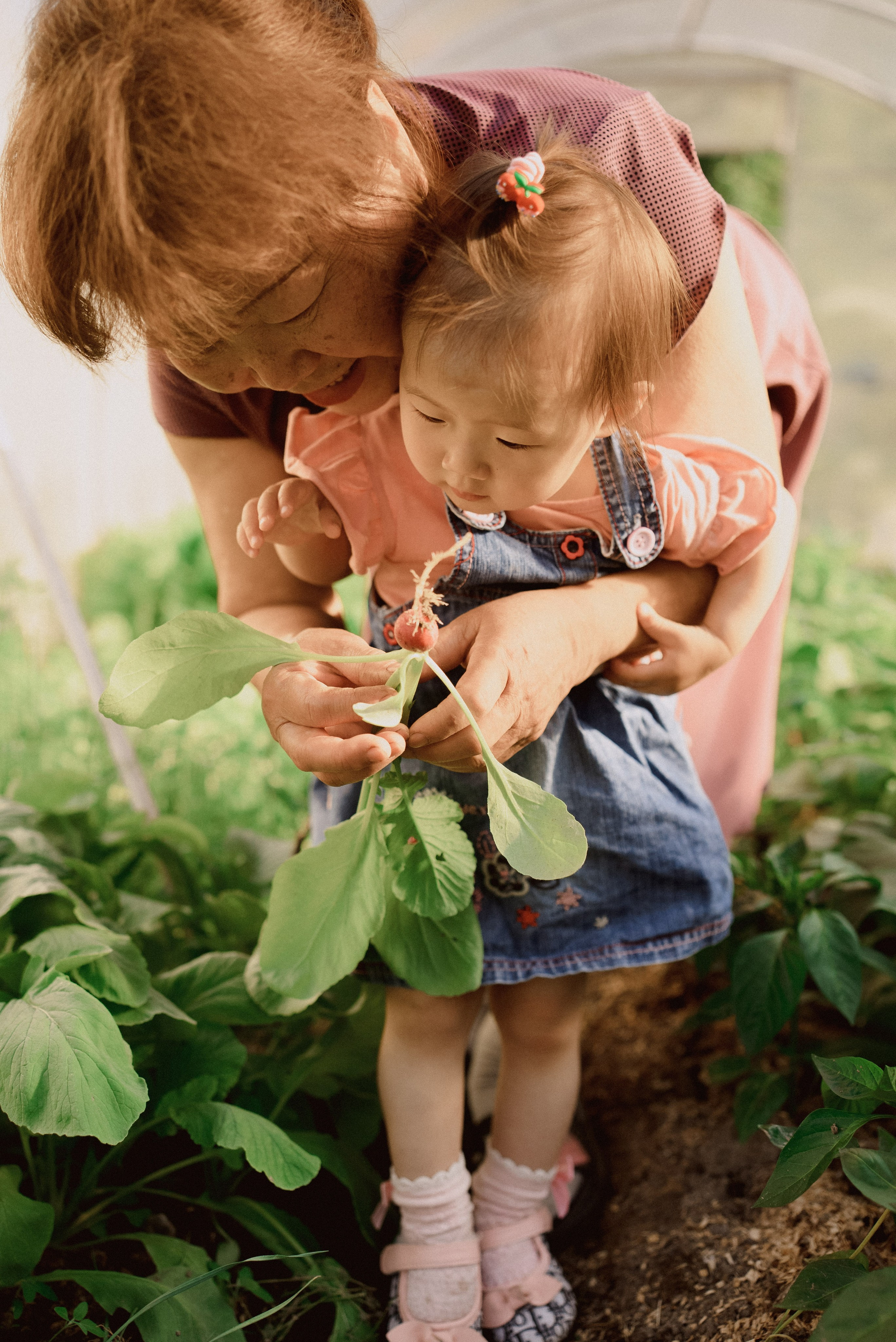 Лето с бабушкой. Семейный фотограф и видеограф Алёна Ким