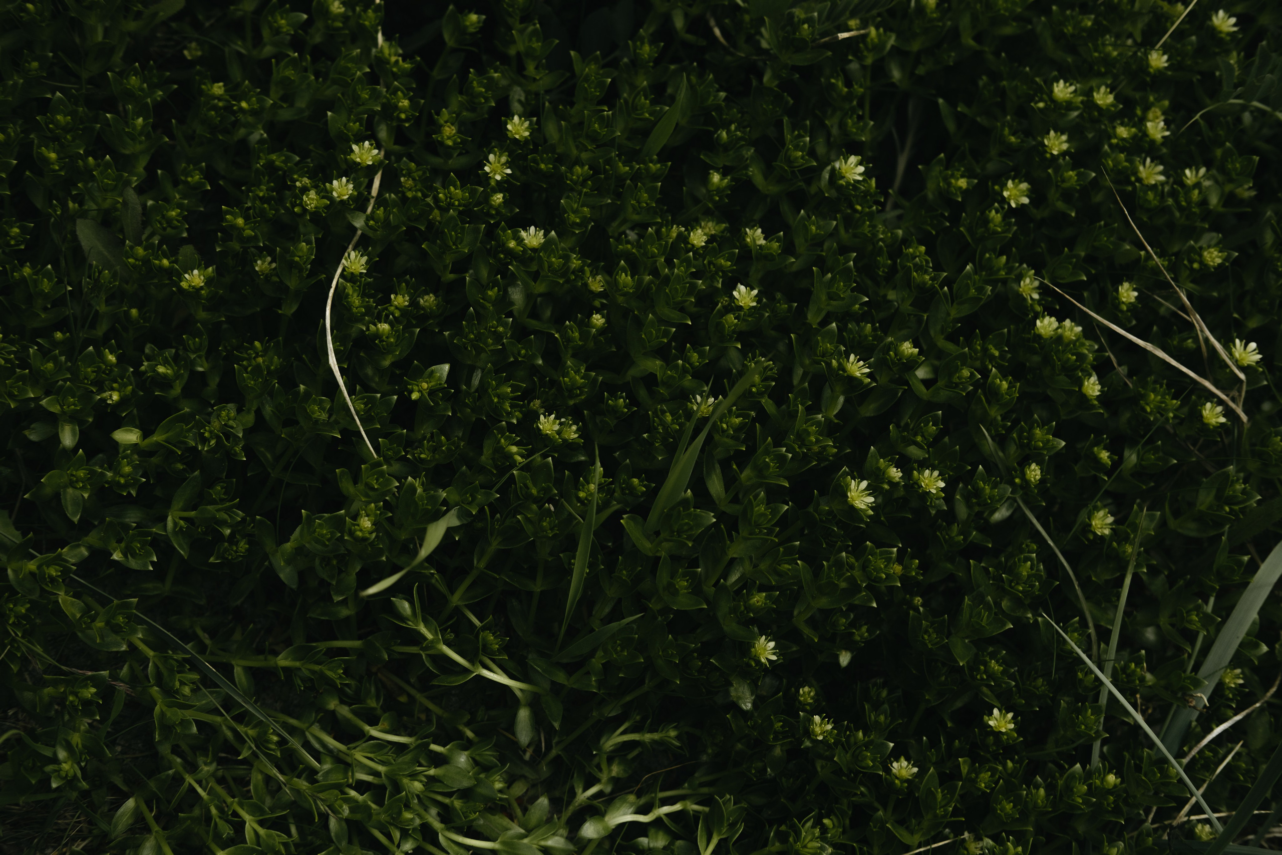 Карелия и Соловецкие острова. Обо мне