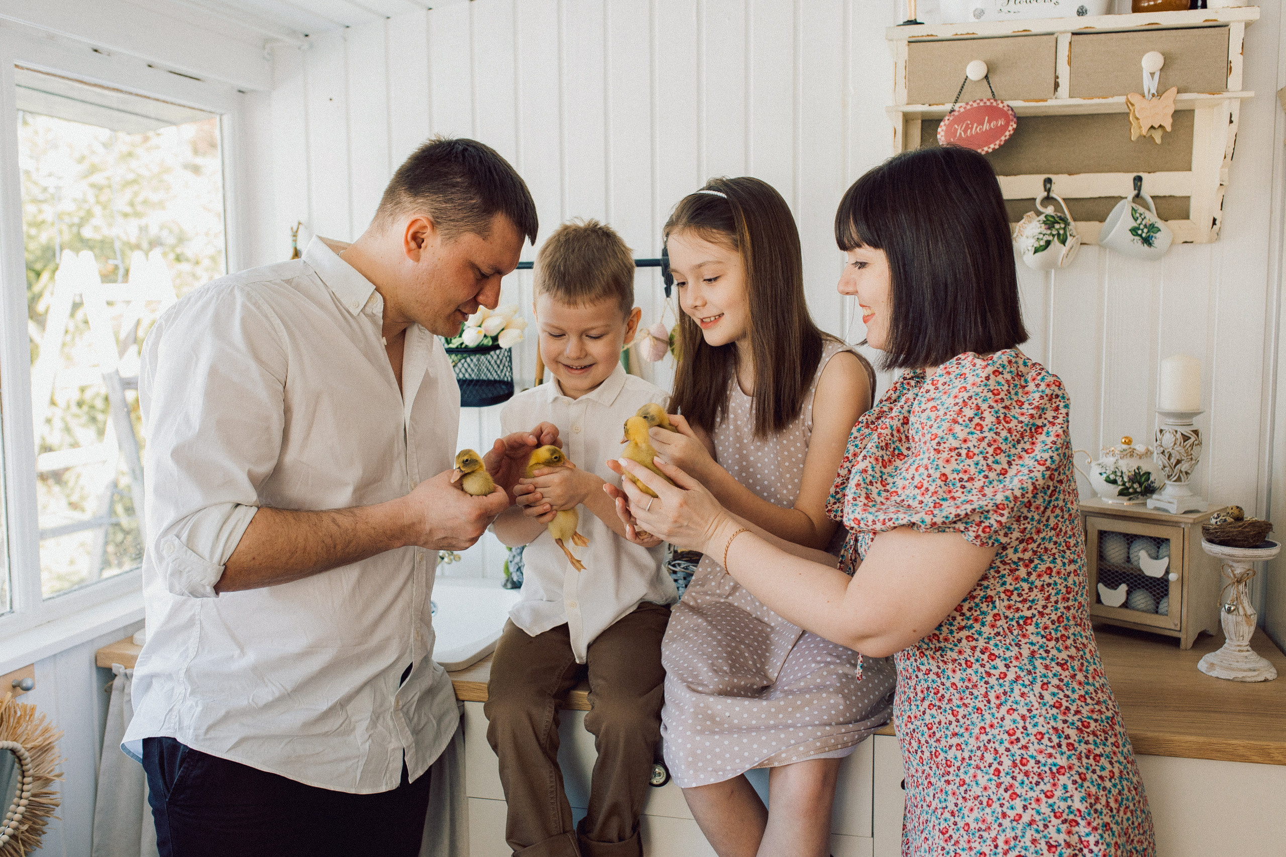 Утиные истории