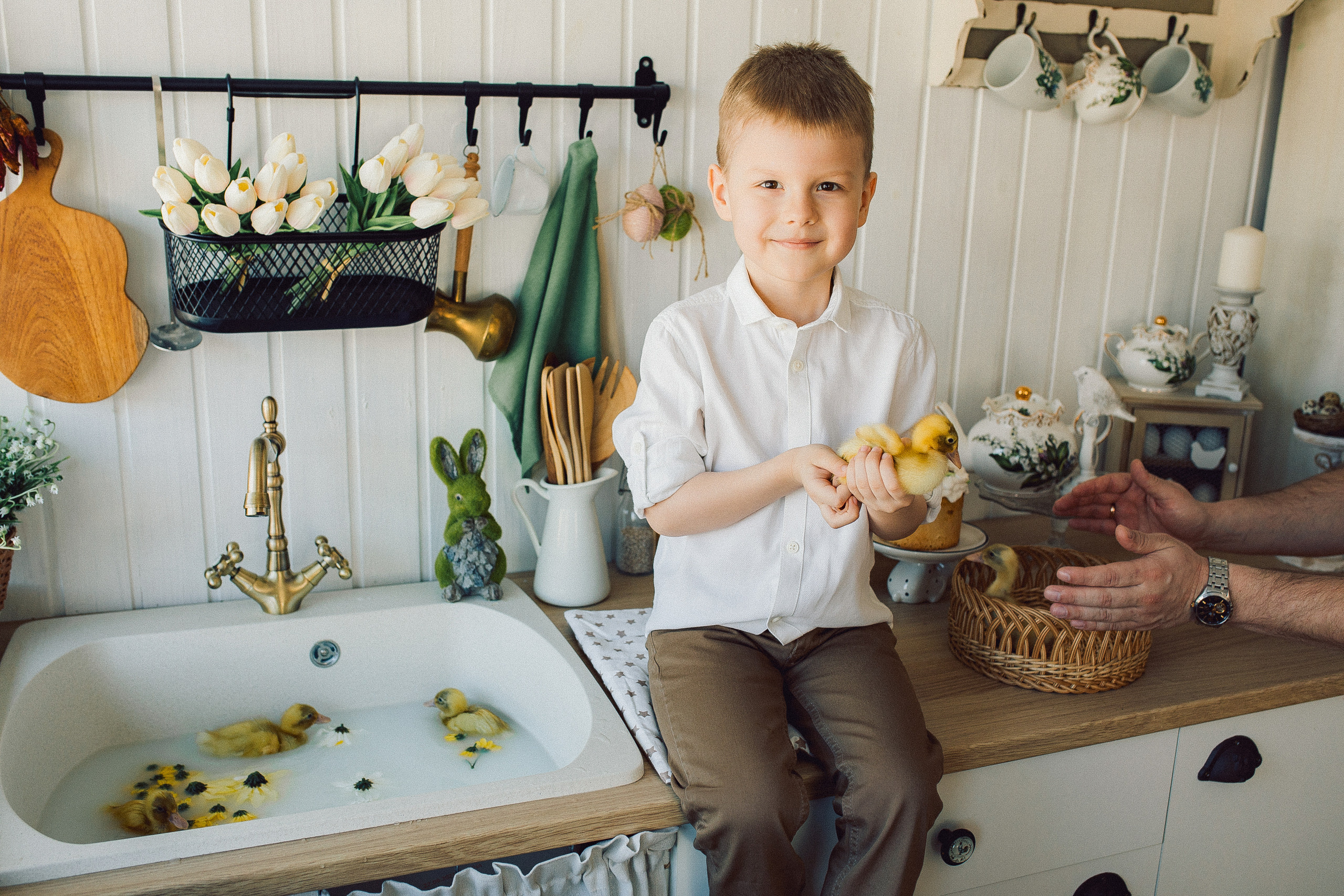 Утиные истории