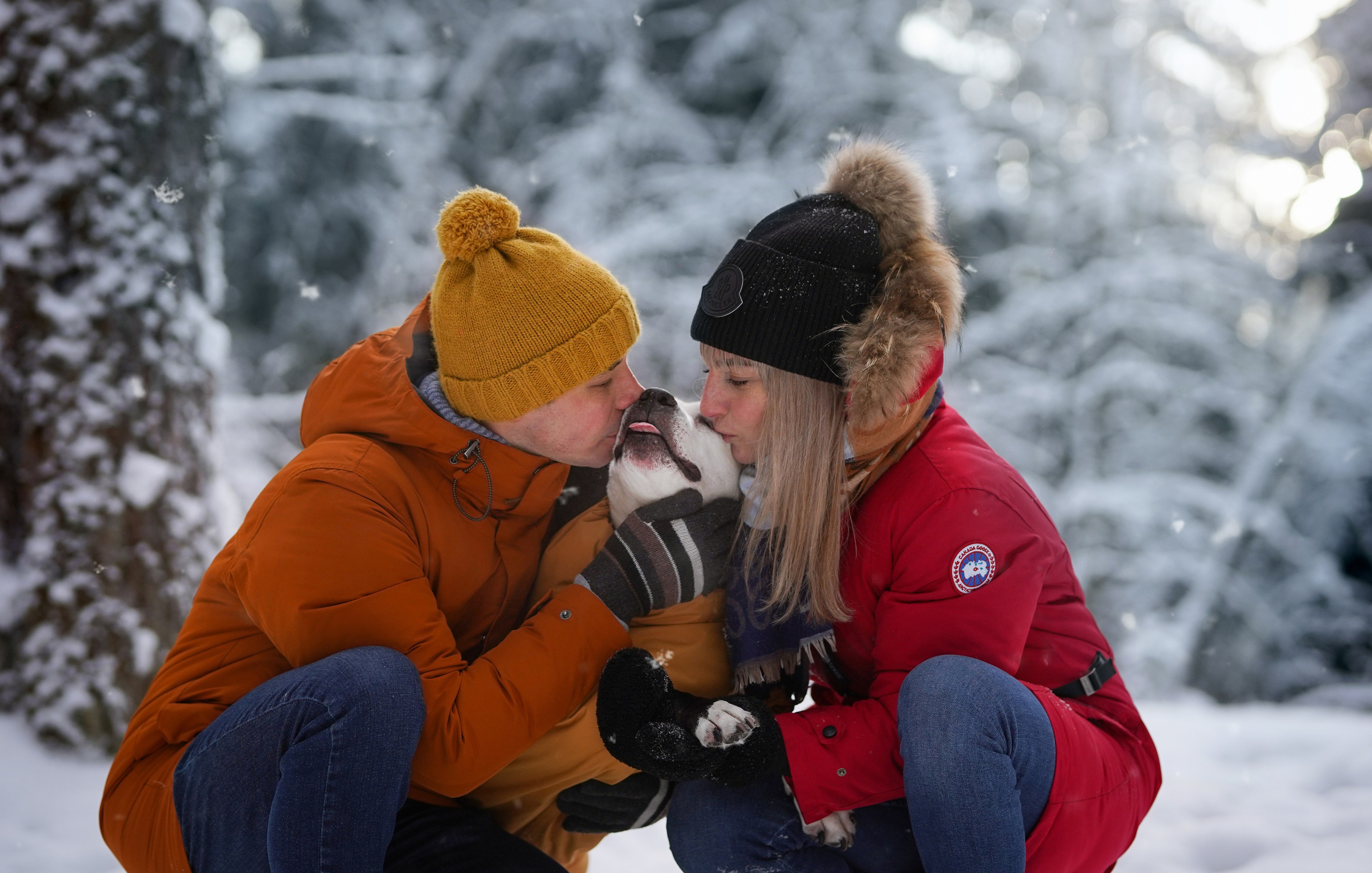 Маша Женя и Фиона. Фотограф-анималист в Санкт-Петербурге Яна Мартынова