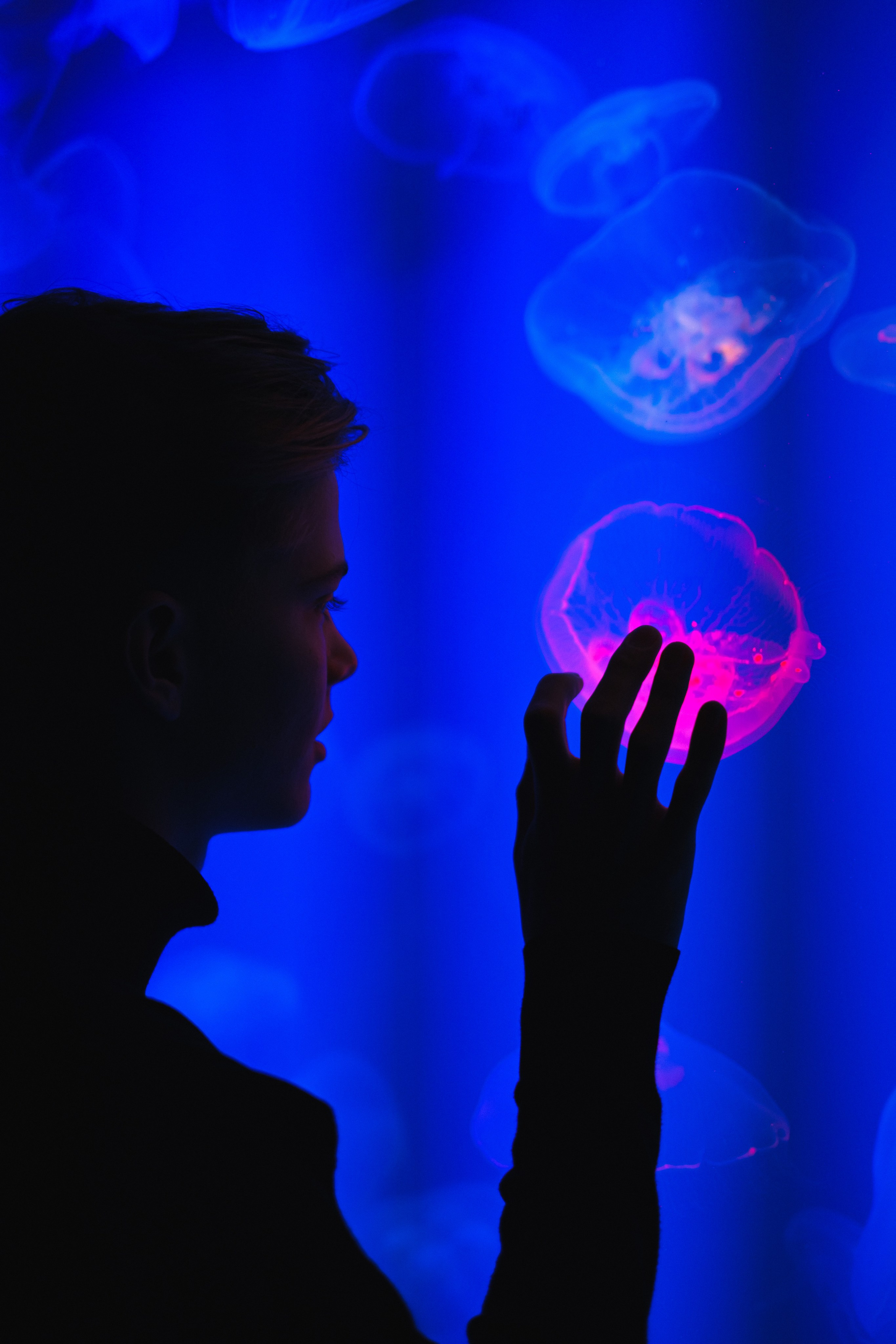 Океанариум. Фотограф Благовещенска Яна