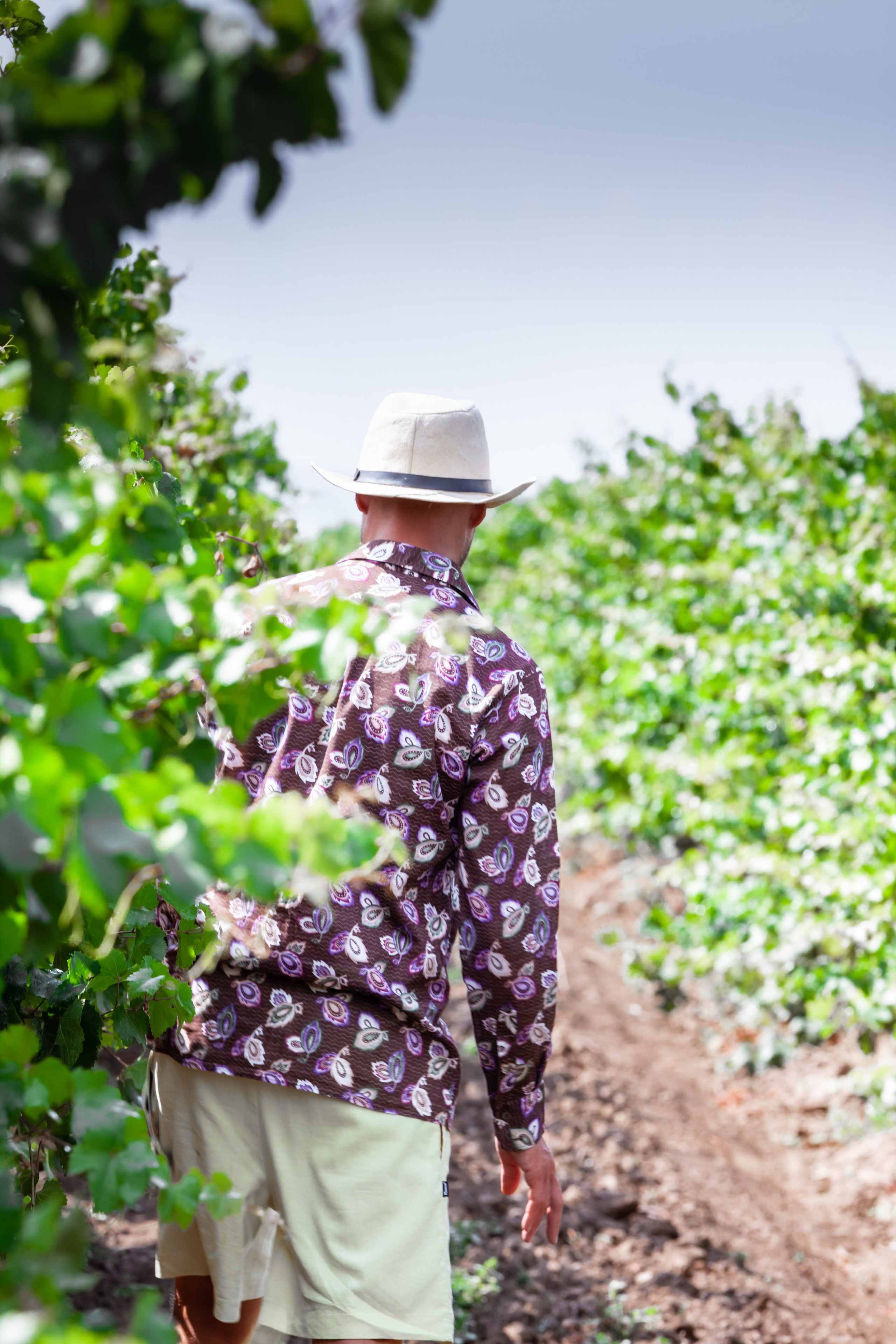 Kuban vineyards. Дария Галямова — фотограф: открытый, творческий, коммерческий