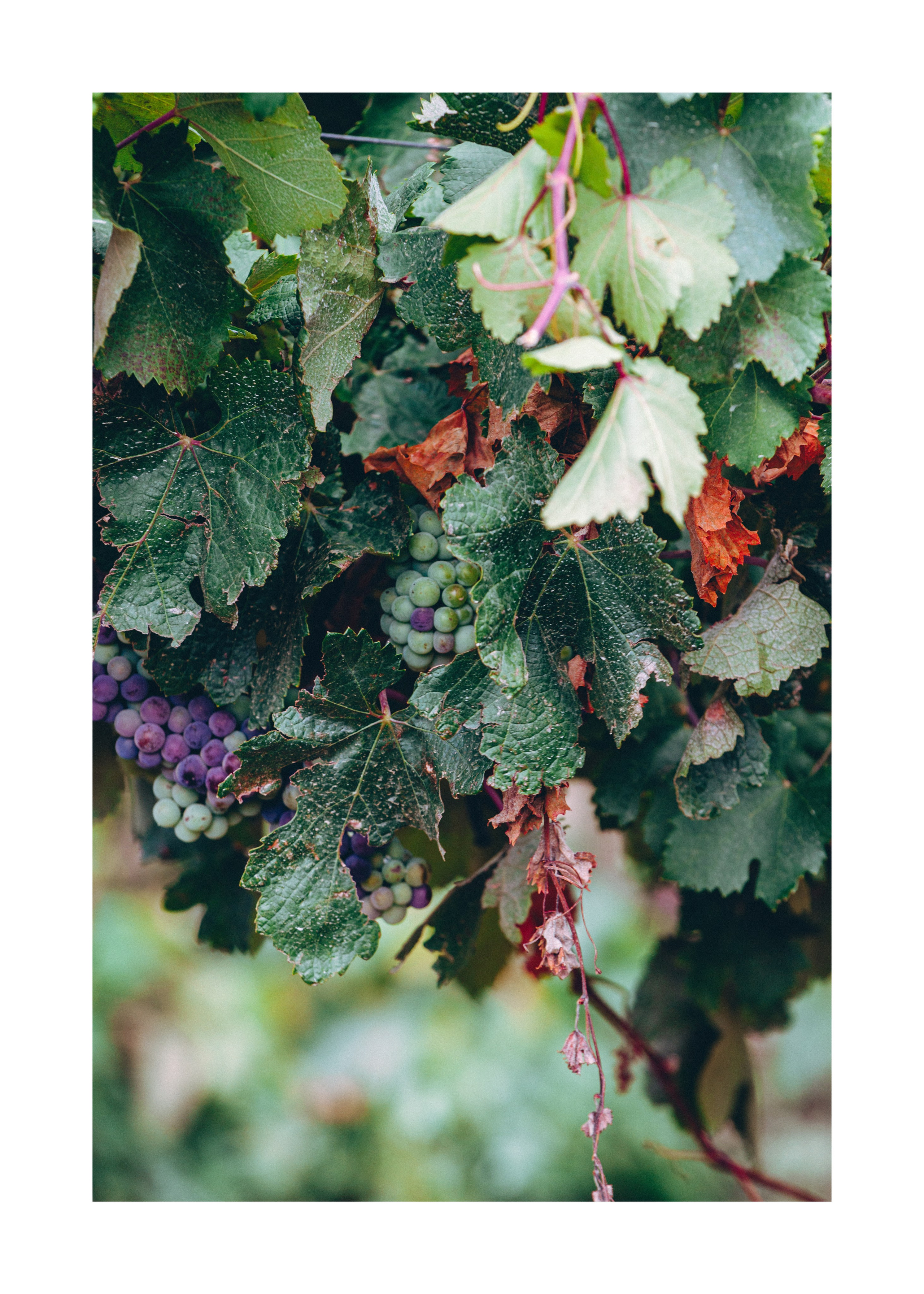 постер постеры море фото на стену фото для печати фото в раму декор из фото