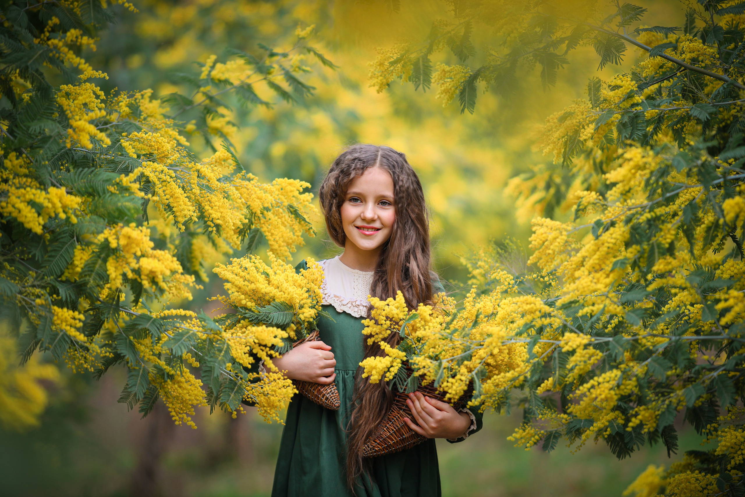 Фотосессии в садах мимозы в Абхазии, Фотосессии в цветущих садах мимозы Абхазия.