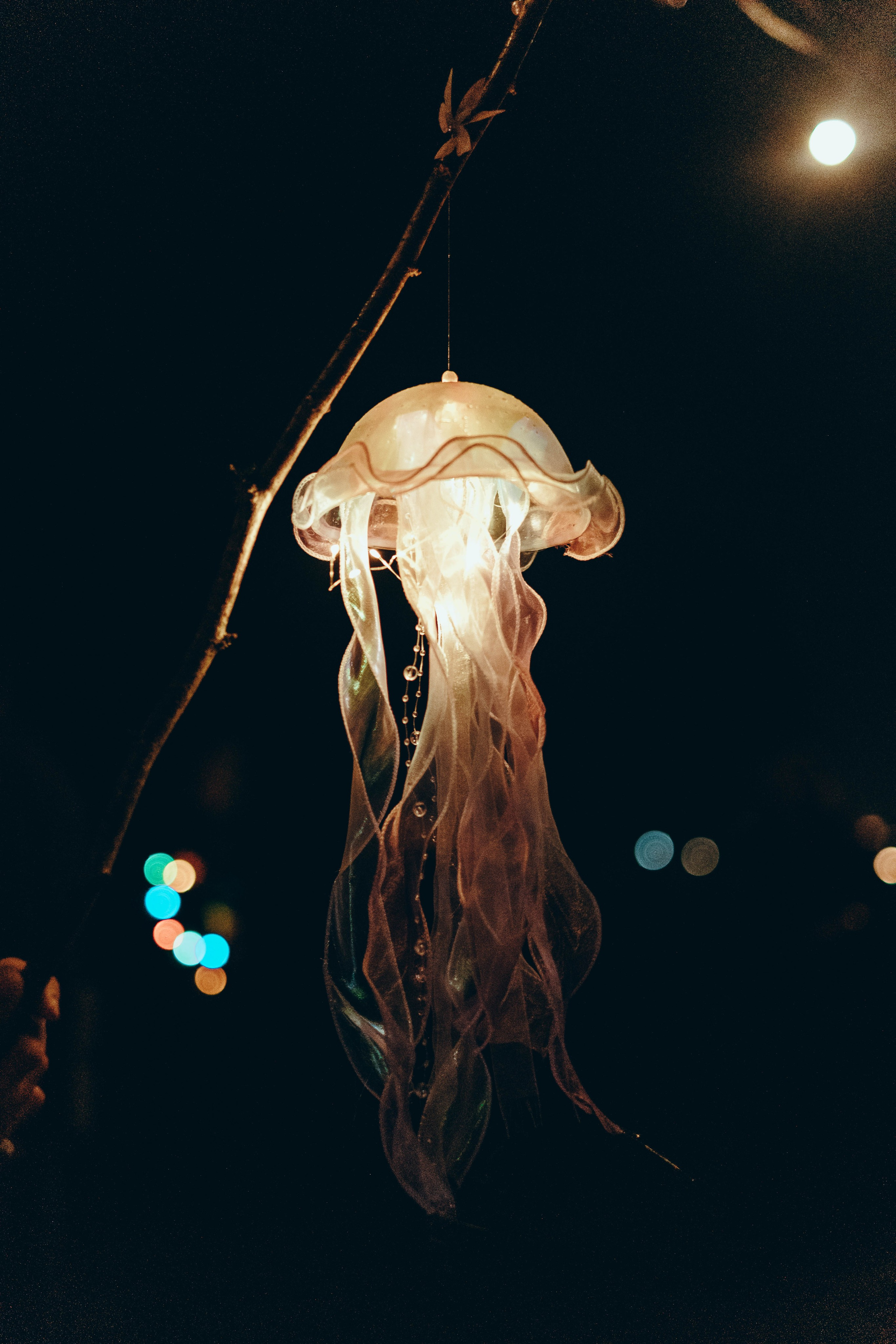 Бессонница 2025. Фотограф Аннё| Москва