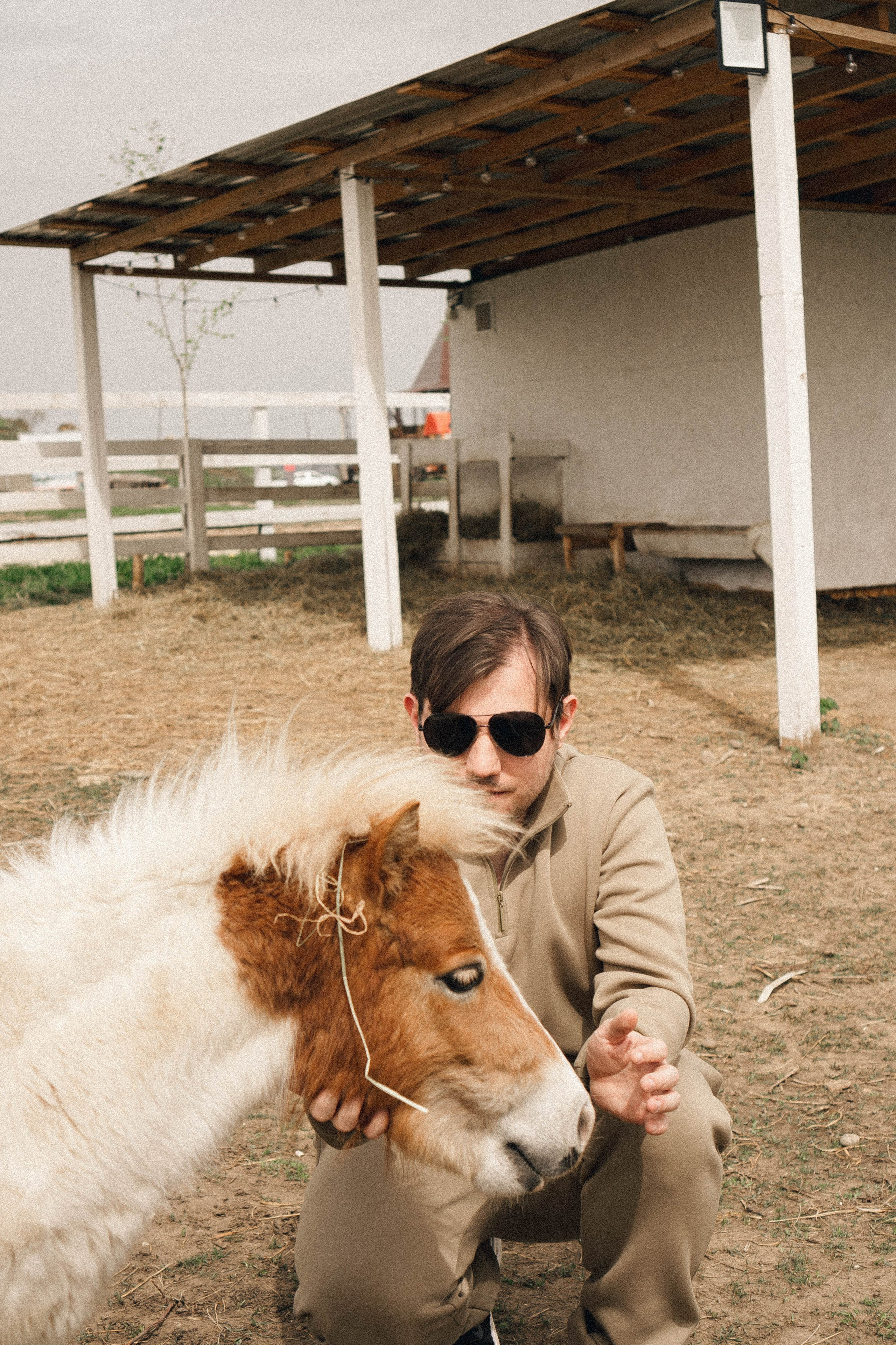 Ферма Альпак. Профессиональный фотограф, Санкт-Петербург — Виктория Богомолова