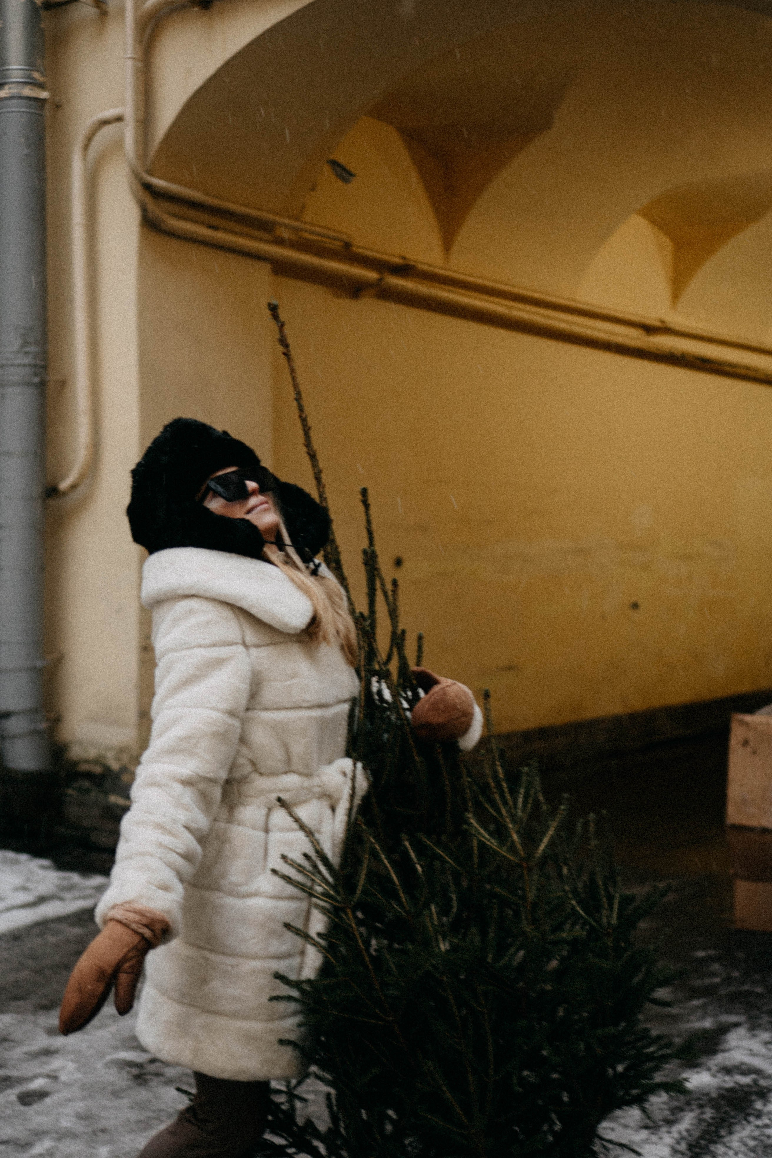 Новогодняя. Профессиональный фотограф, Санкт-Петербург — Виктория Богомолова