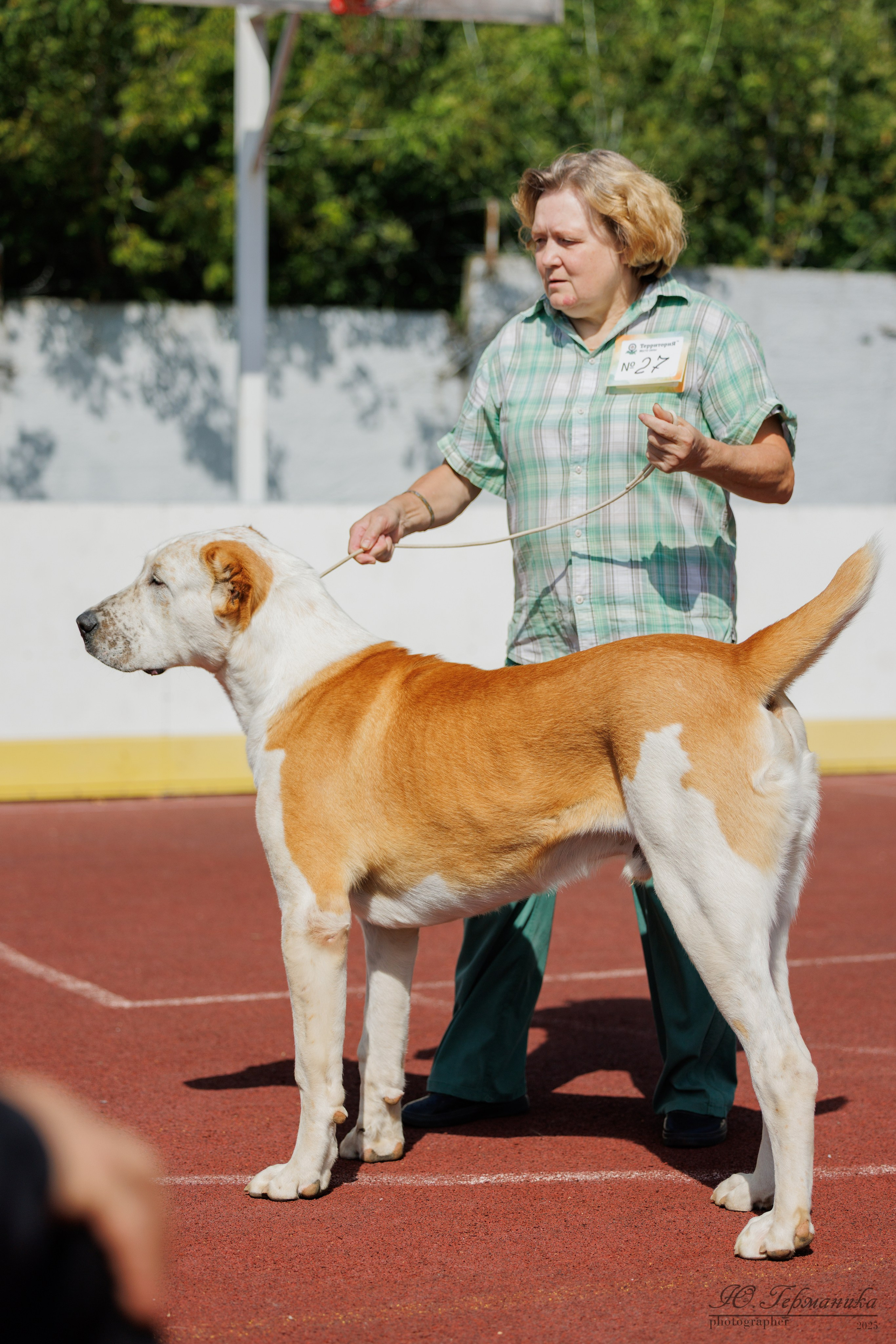 Коломна 30.08.2025. Фотограф-анималист Юлия Германика