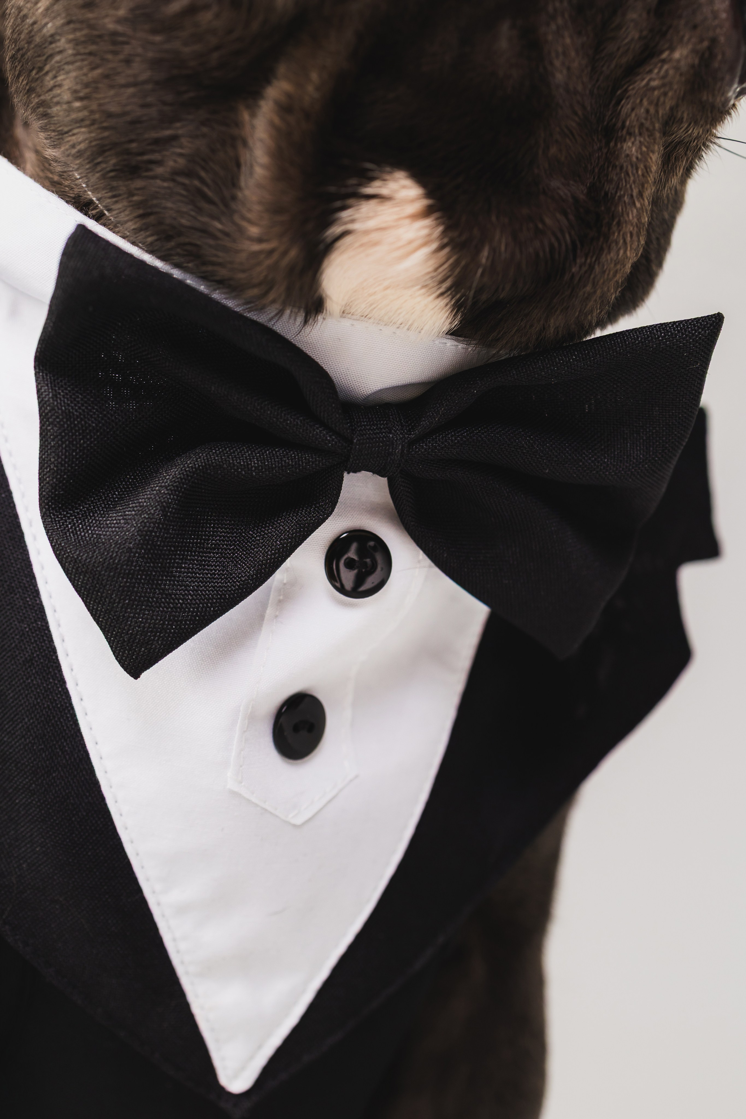 Кристина и Счастье