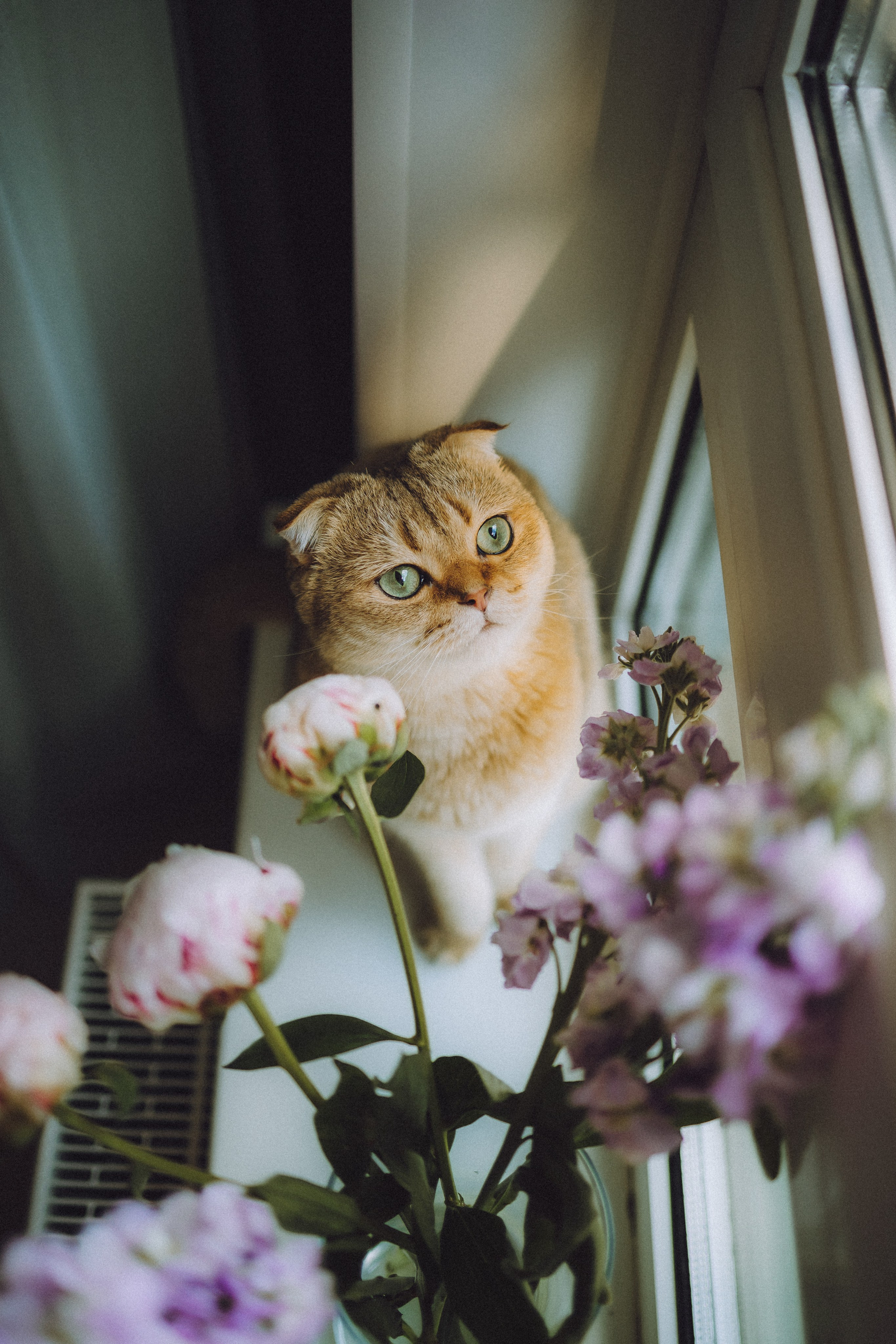 Генри и его семья