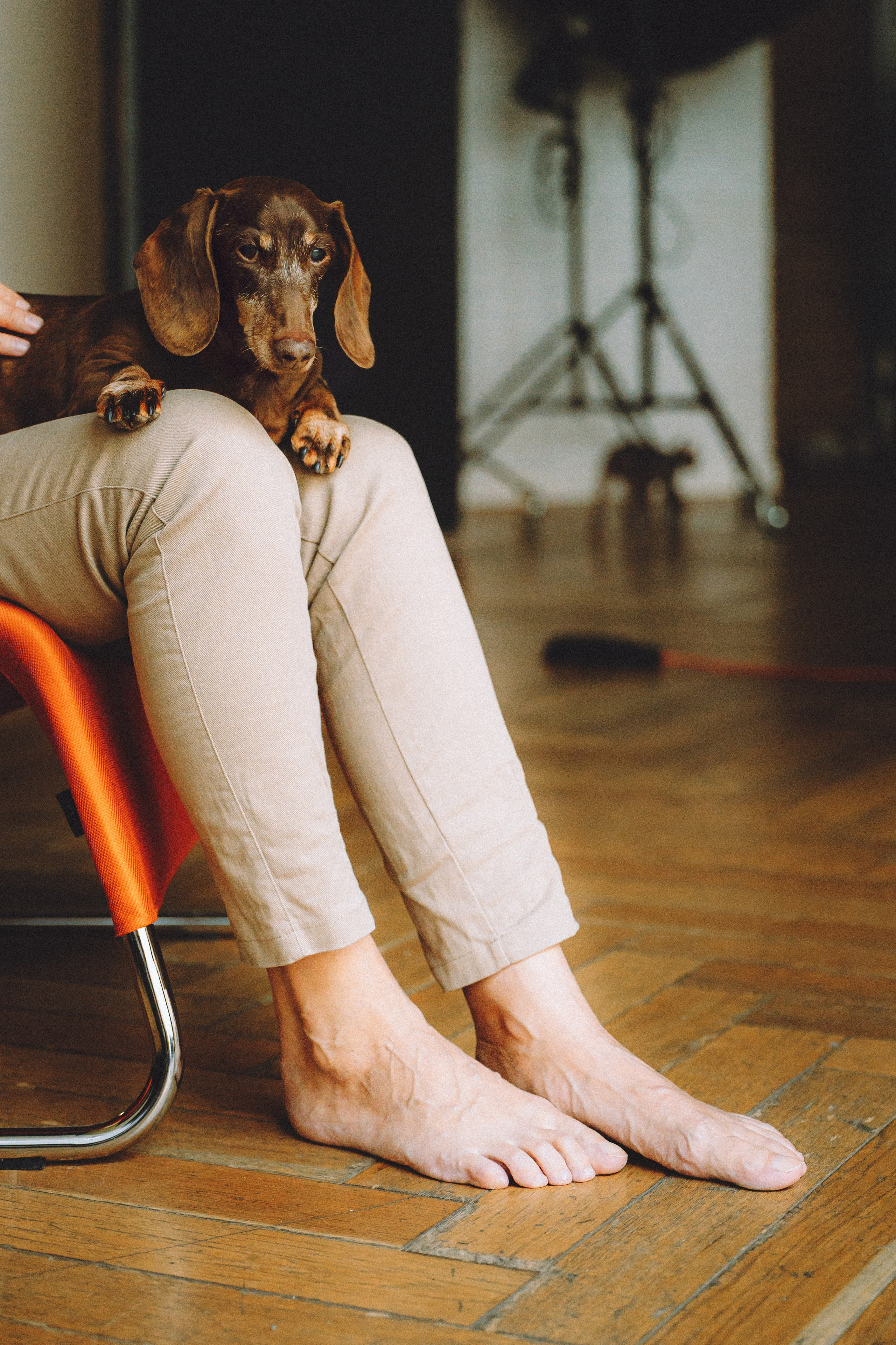 Кокос, Света, Динара и Вилли