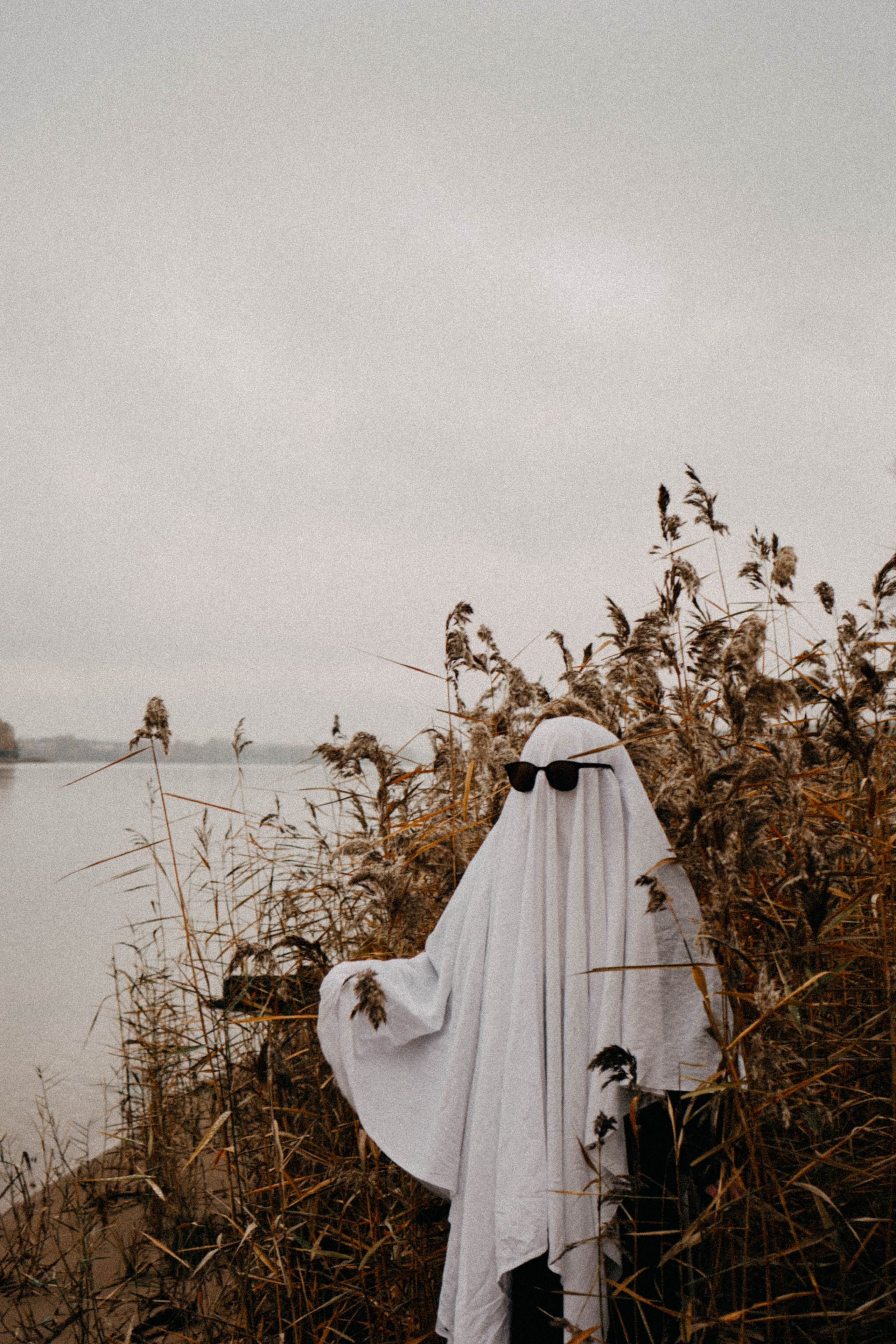 Осеняя. Профессиональный фотограф, Санкт-Петербург — Виктория Богомолова