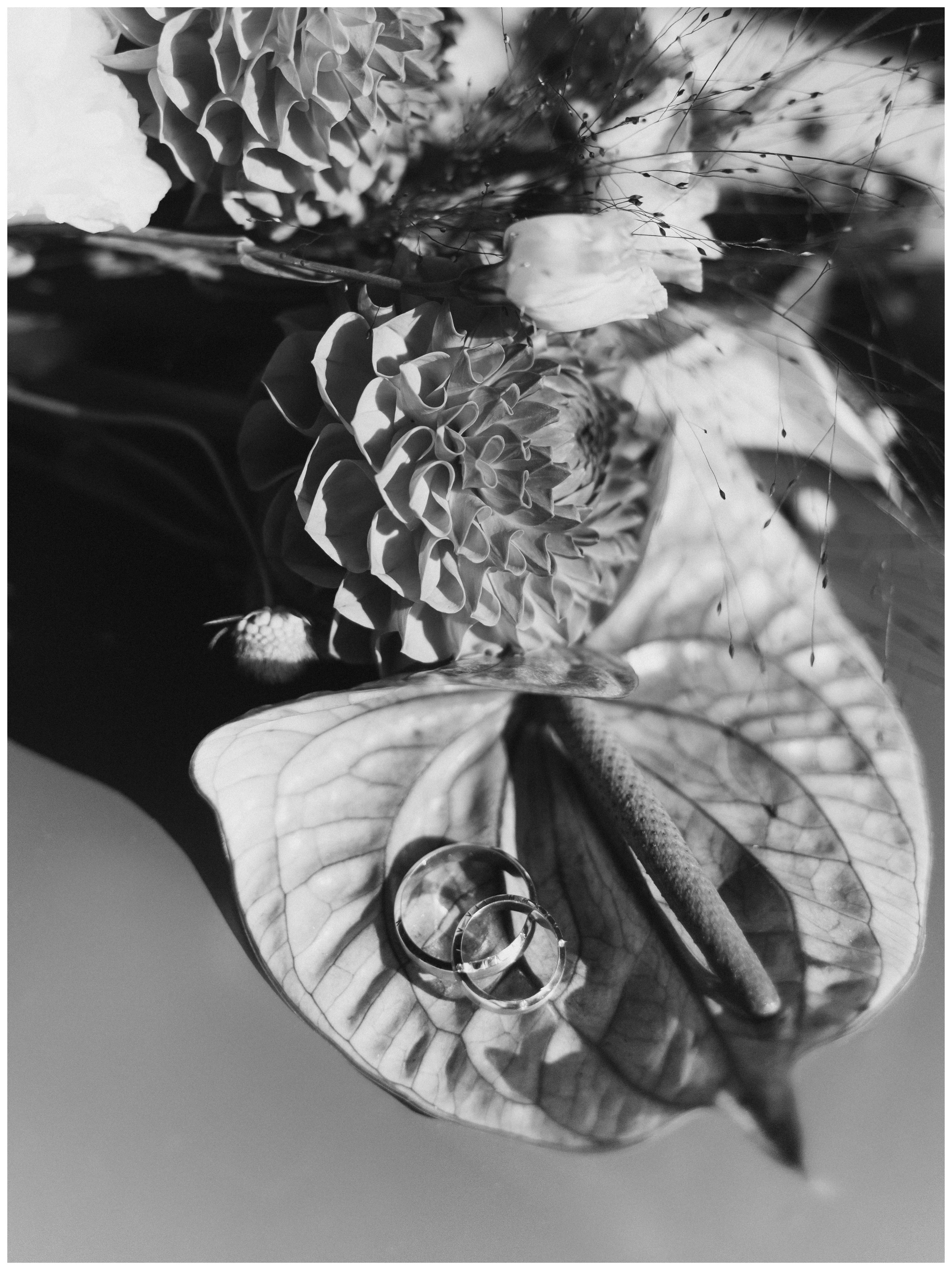 Владимир и Александра. Катерина Аникеева | Фотограф | Екатеринбург