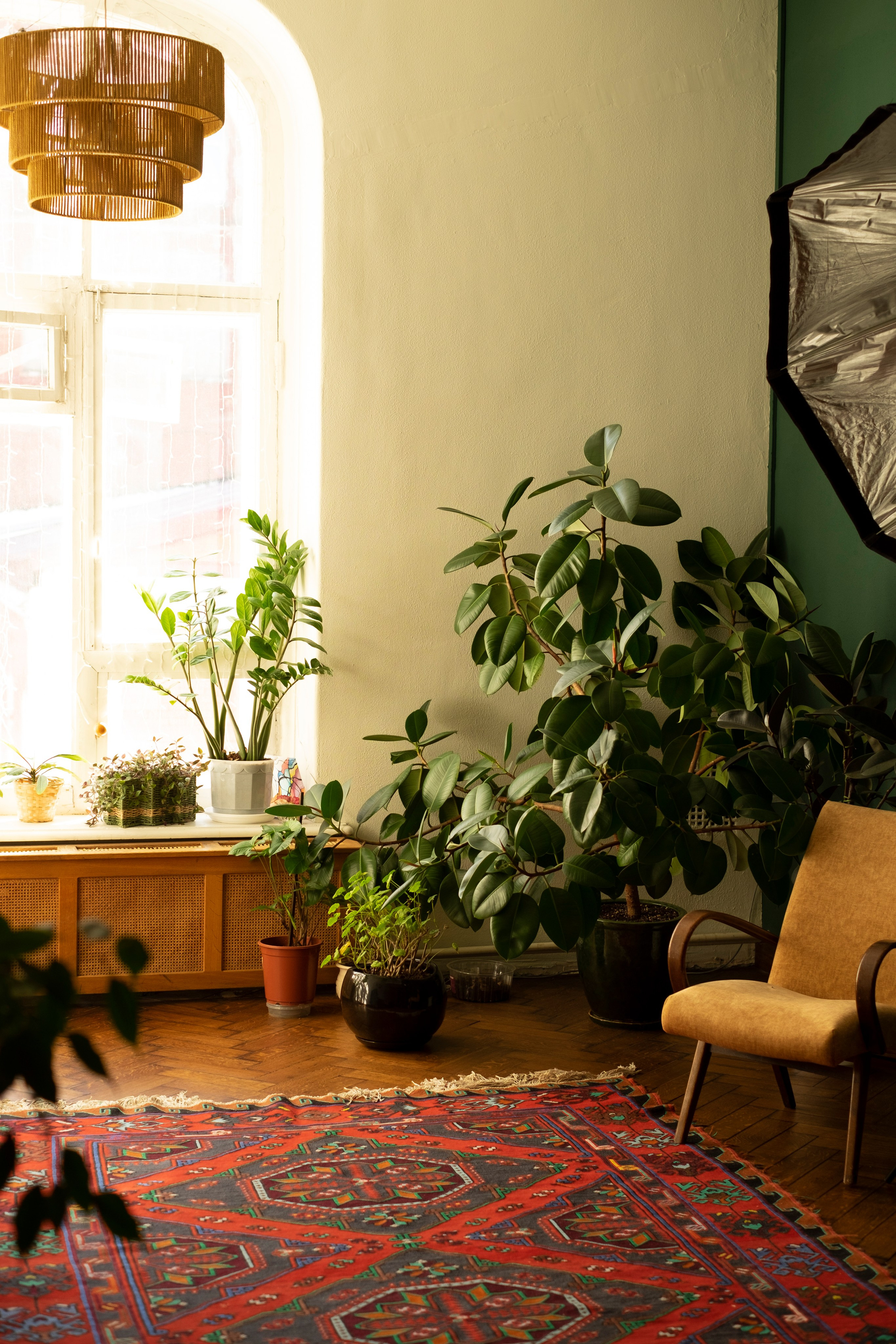 Фотограф в Раменском, фотостудия в Раменском. Фототерапия «Пульс СЧАСТЬЯ»