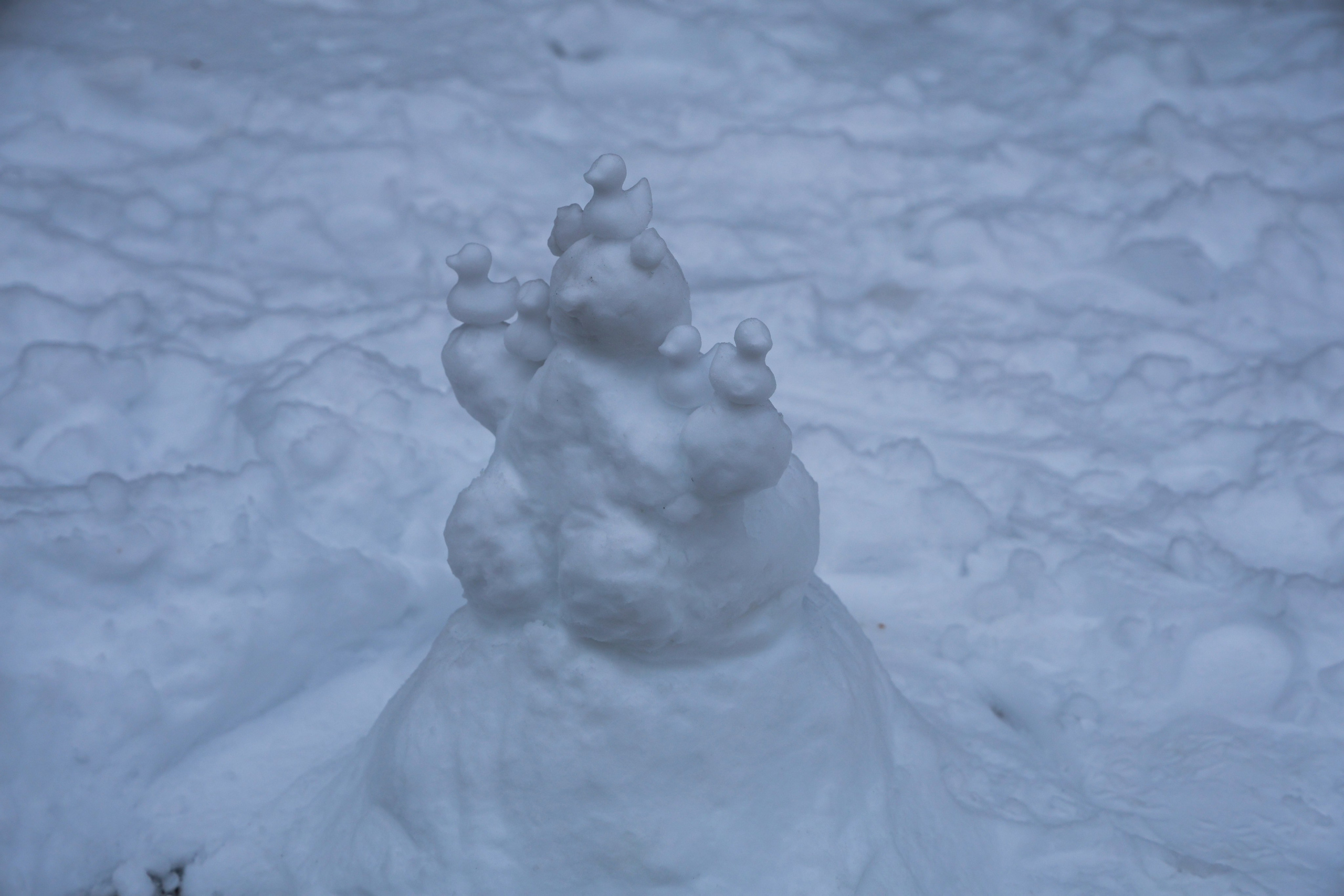 Small excursion. Portrait photographer based in Toronto — Blinova Mariia