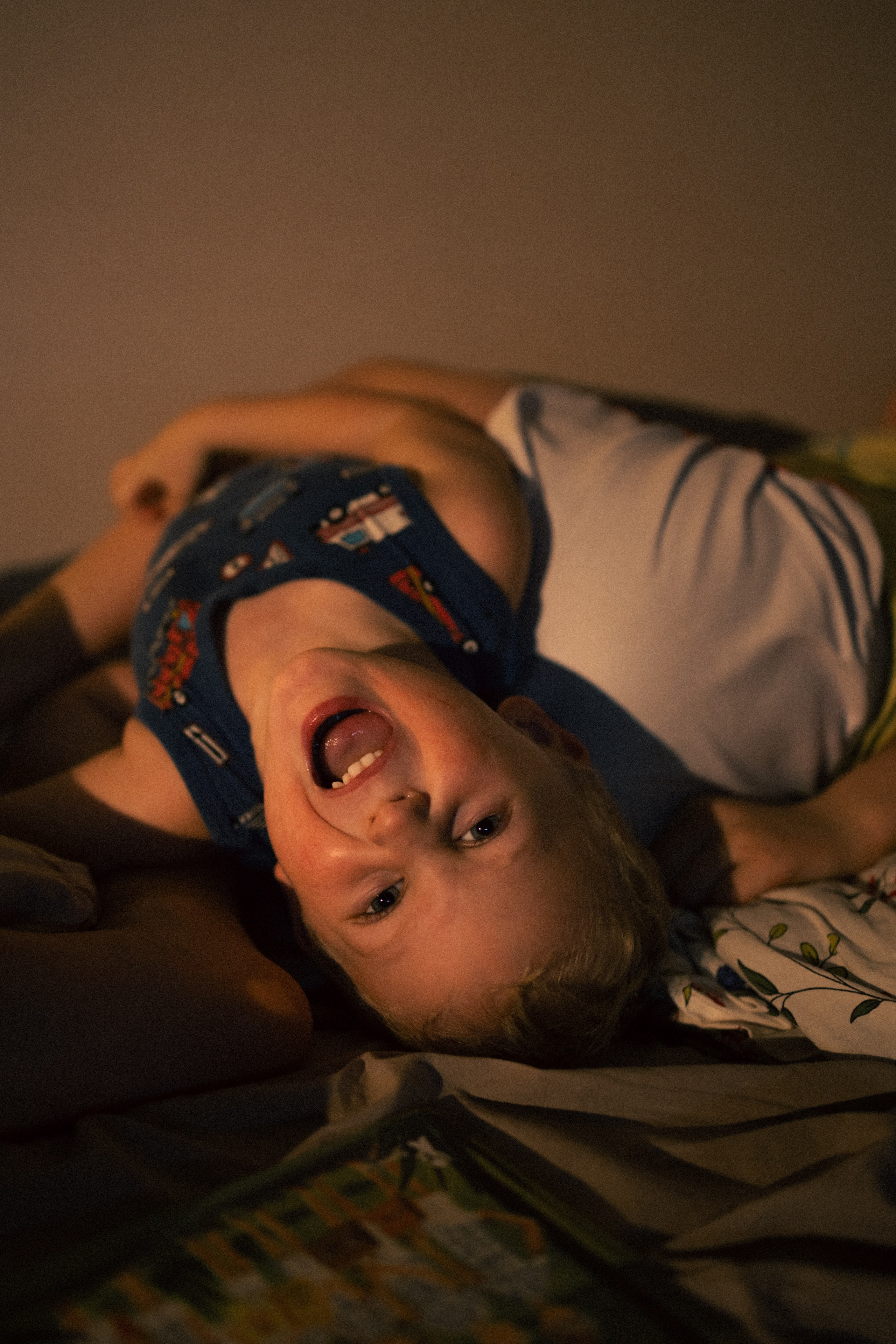 Мальчишки. Фотограф анималист в Москве Майорова Евгения