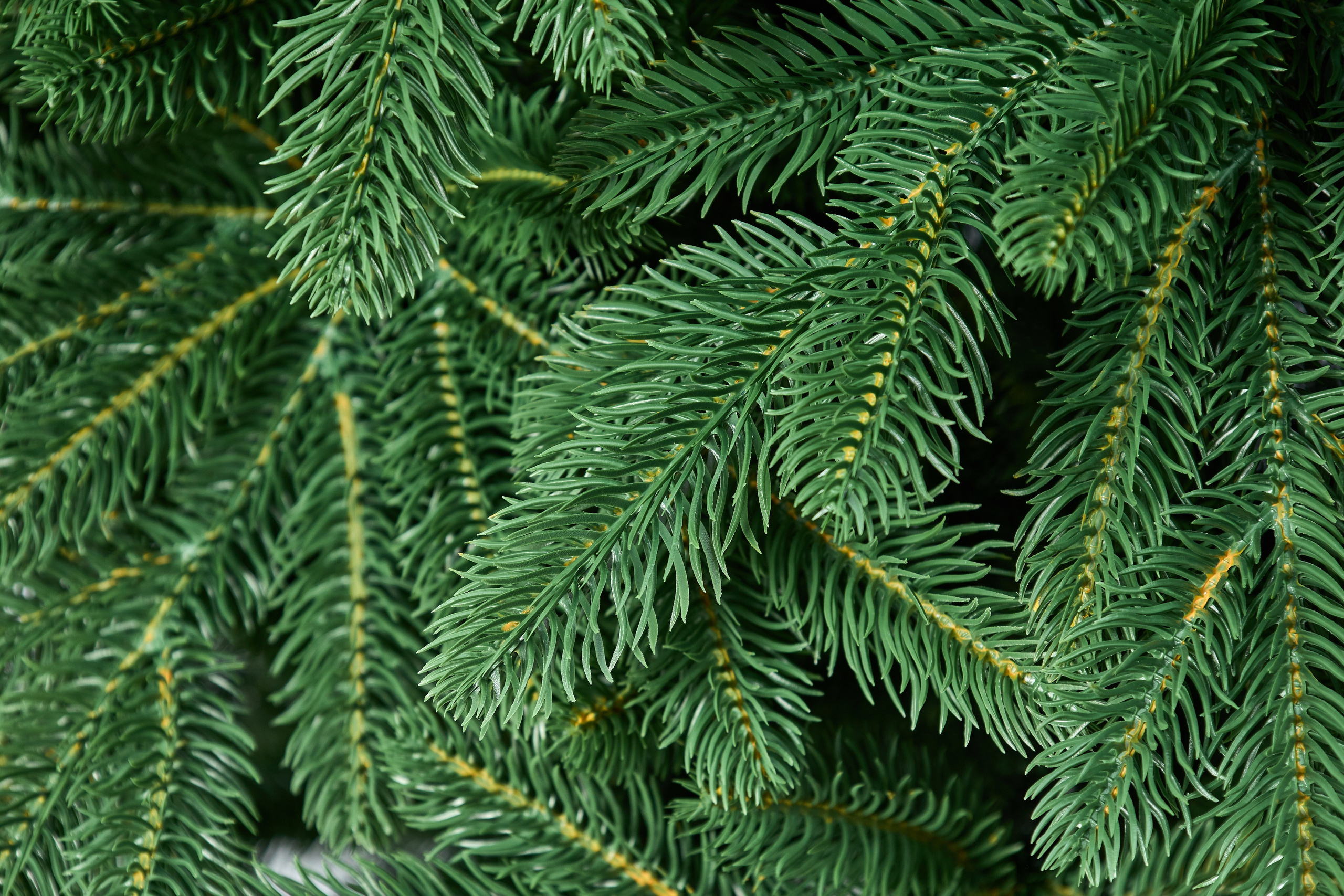 Искуственные ели и сосны. Выведите свои товары на новый уровень с профессиональной предметной фотографией. Предметный фотограф Юлия Кравченко