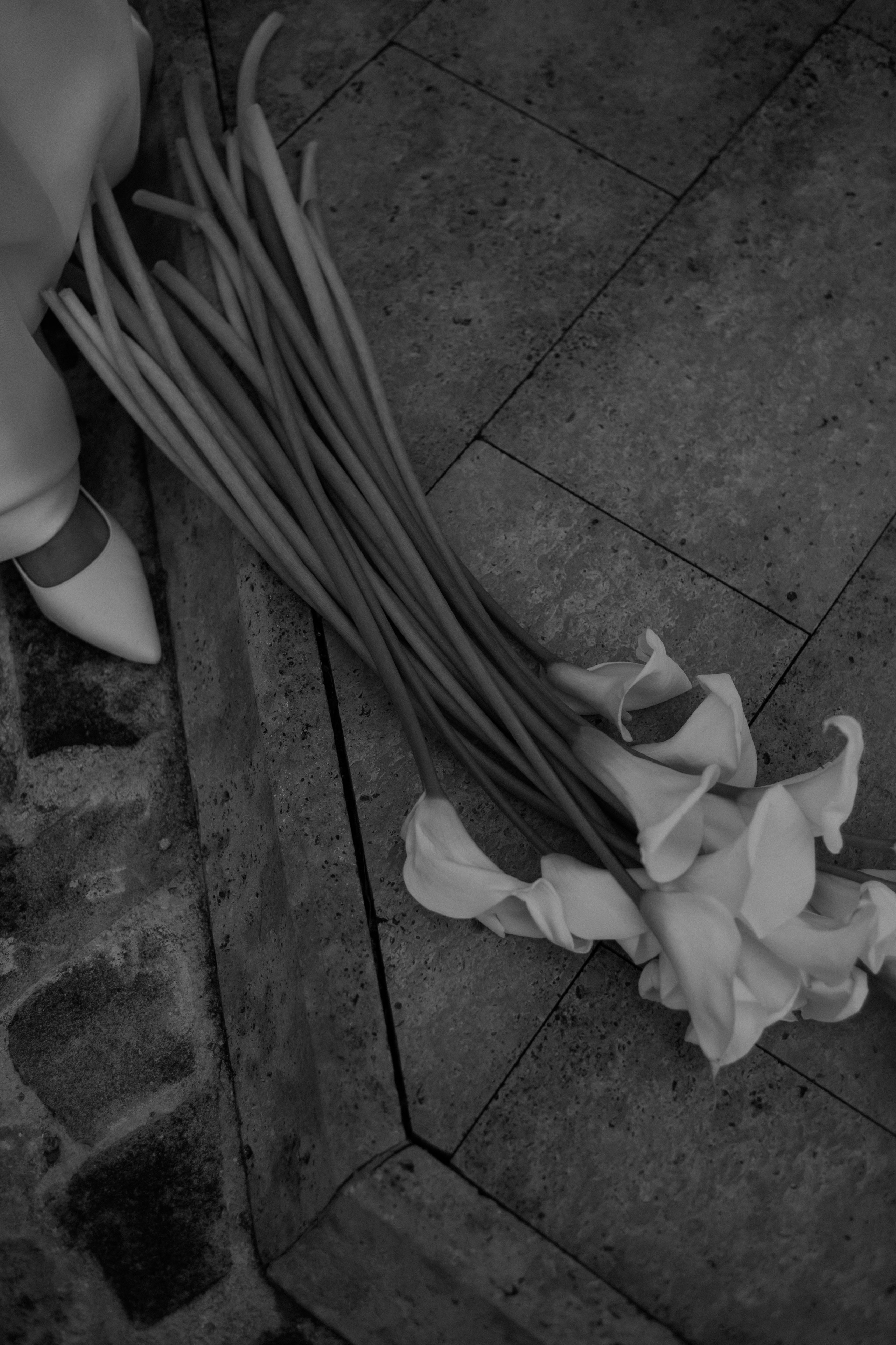 Свадебная фотосессия Анапа. Фотограф и Видеограф Анапа, Новороссийск, Краснодар. Алина и Женя