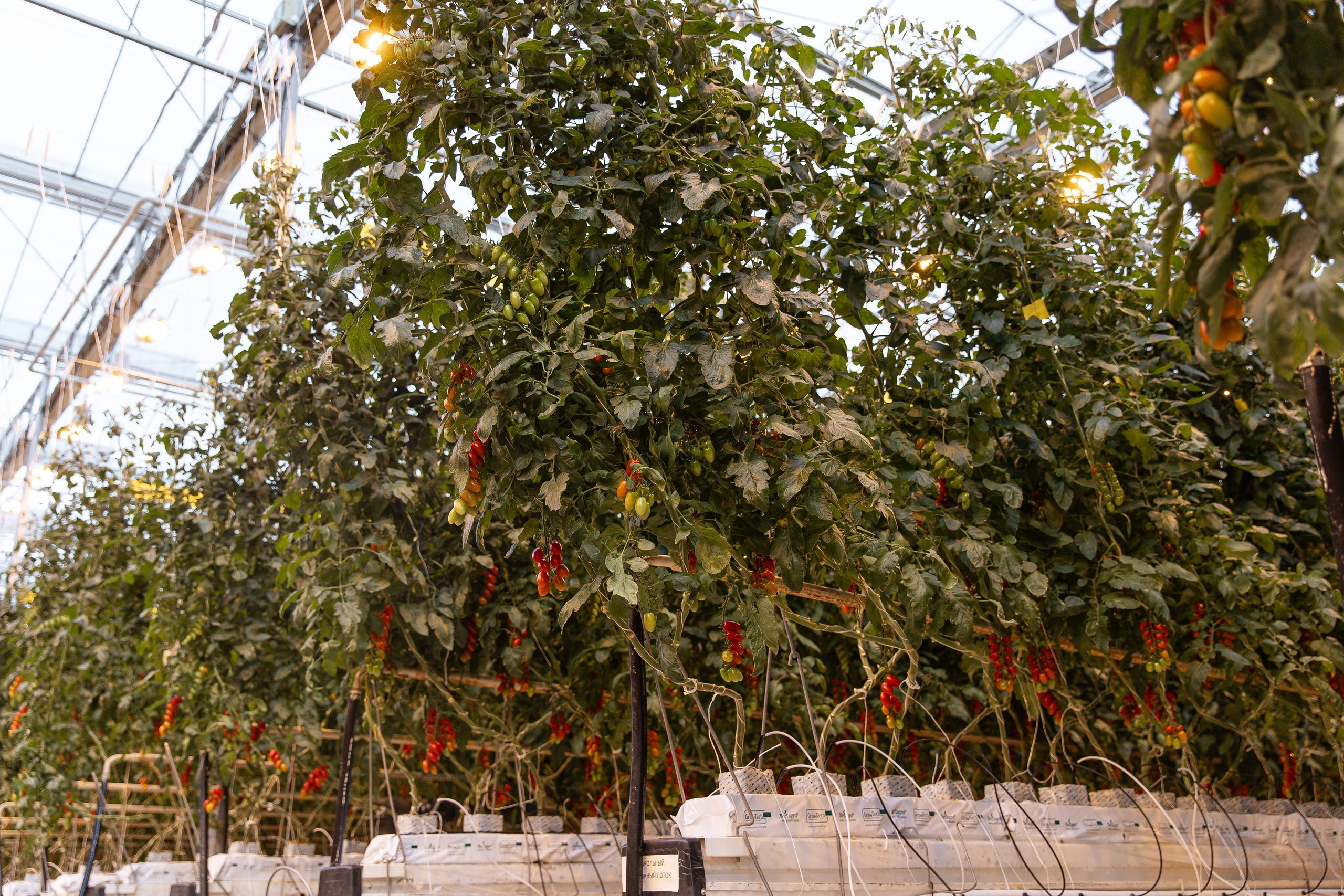 Производство. Фотограф Николай Петрушкин | Ставрополь, Москва