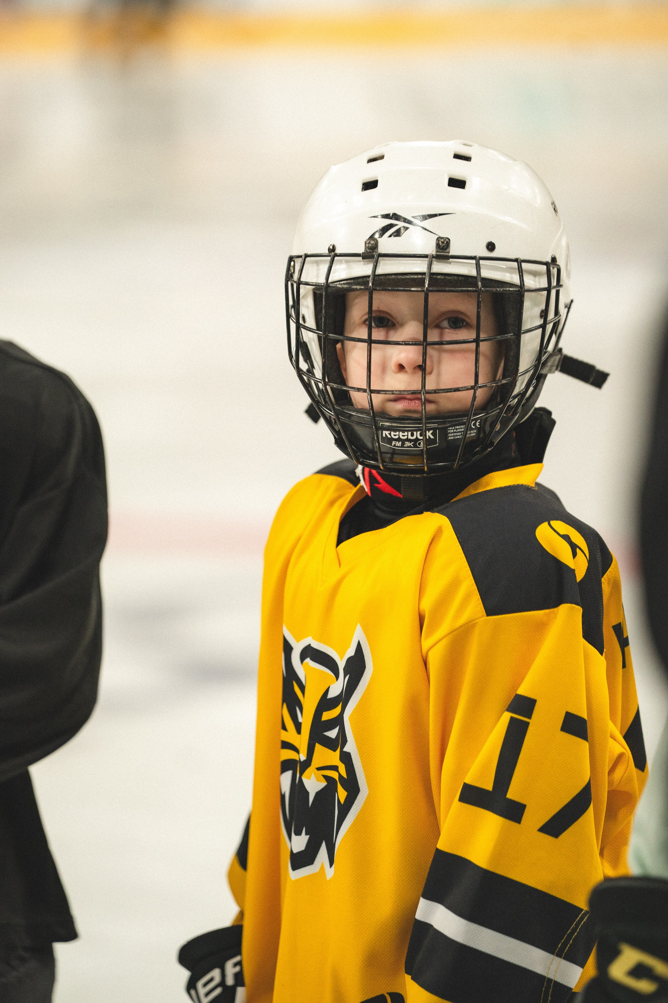 ХК Северсталь (младшая группа). Череповец. Zekons. Фото, видео, нейросети