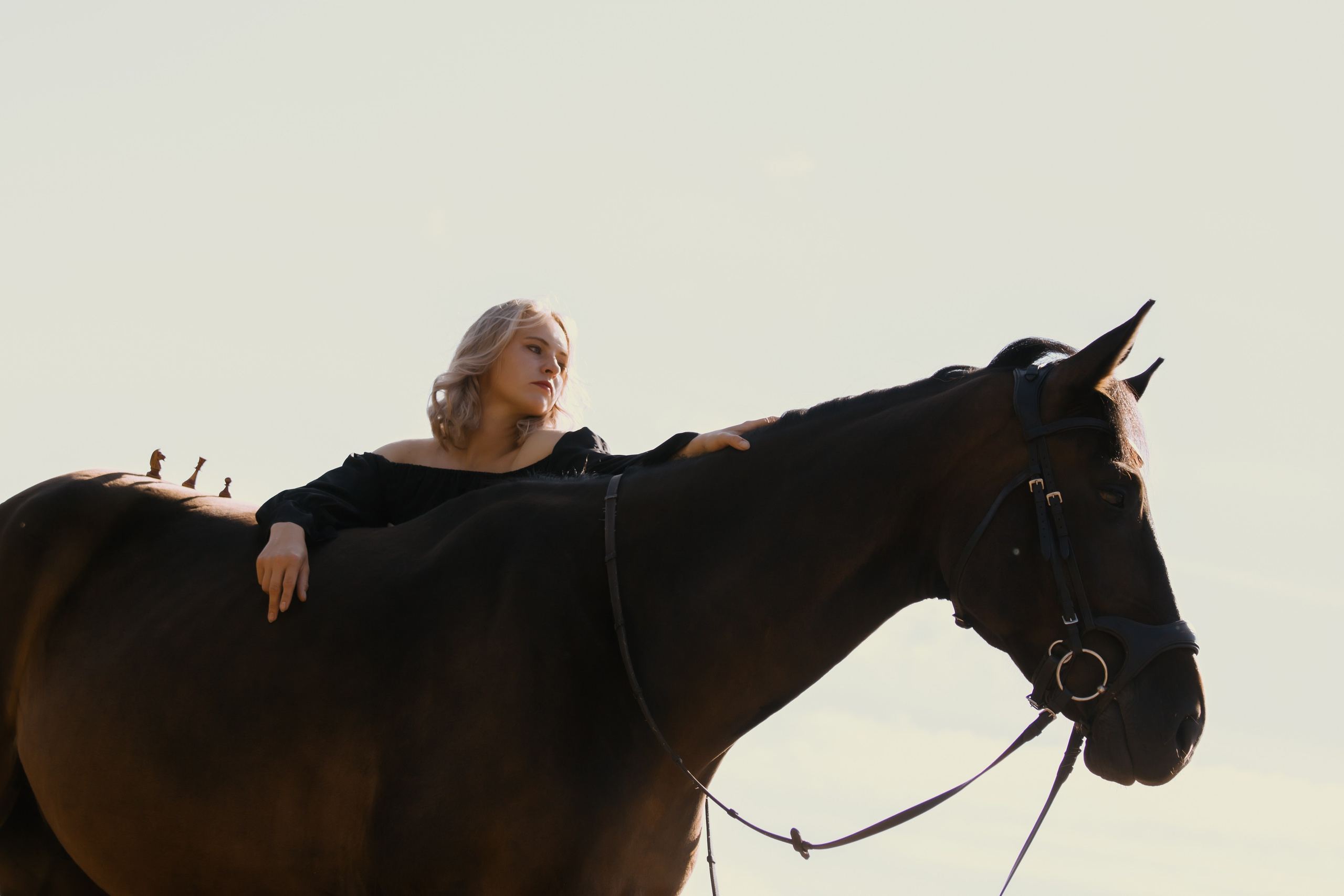 Ход Конем. Конный фотограф в Санкт-Петербурге Анна Лебедева