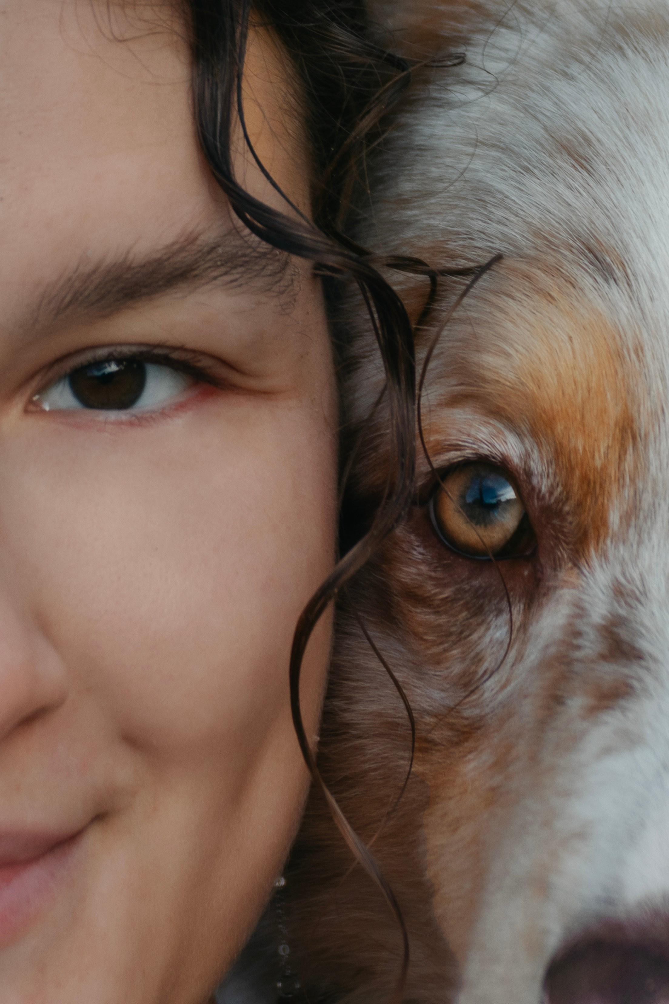 Летний рассвет с Майроном и Ланой. Стас Соболь, фотограф анималист, репортажник, Москва