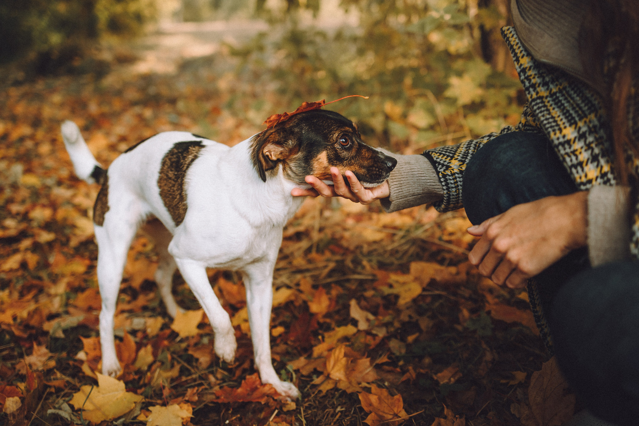 Ольга и Восьмерка