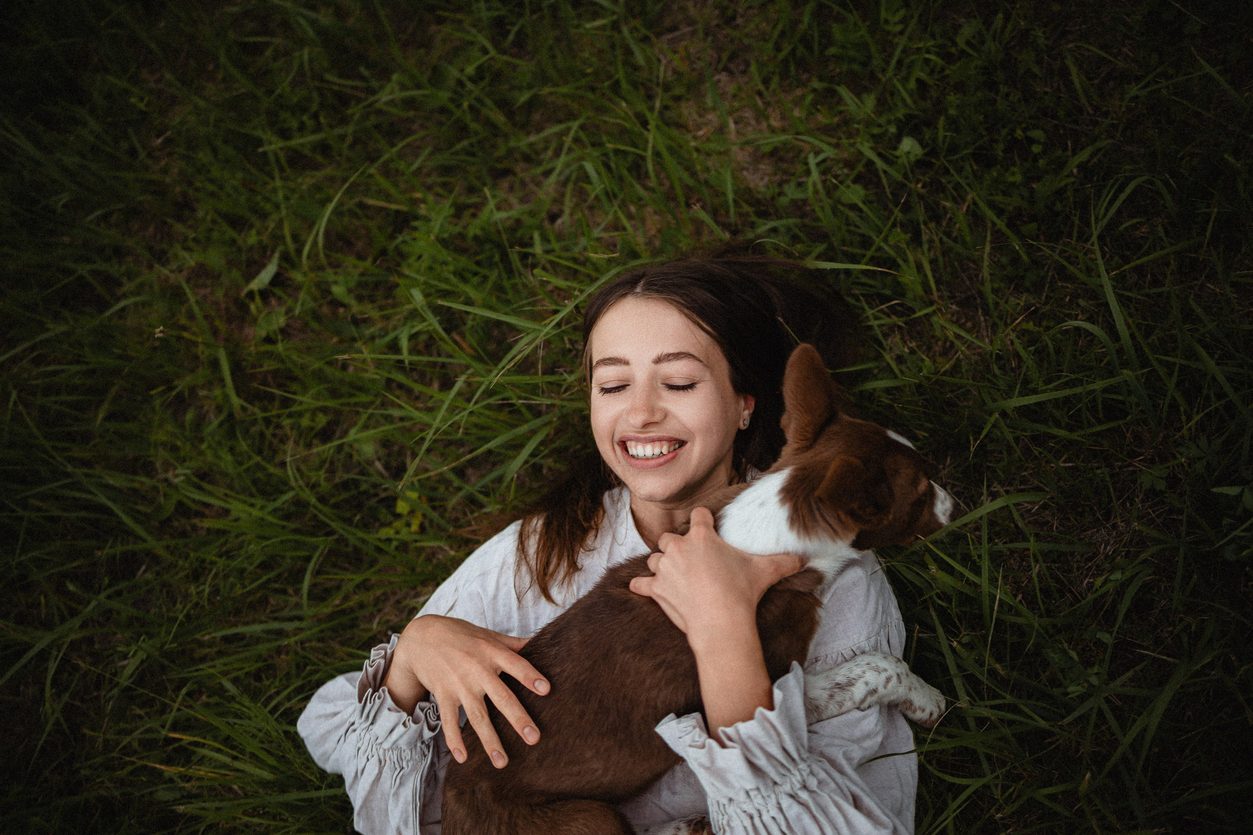 Выездной дог-тренинг от школы «Шерсть имею»