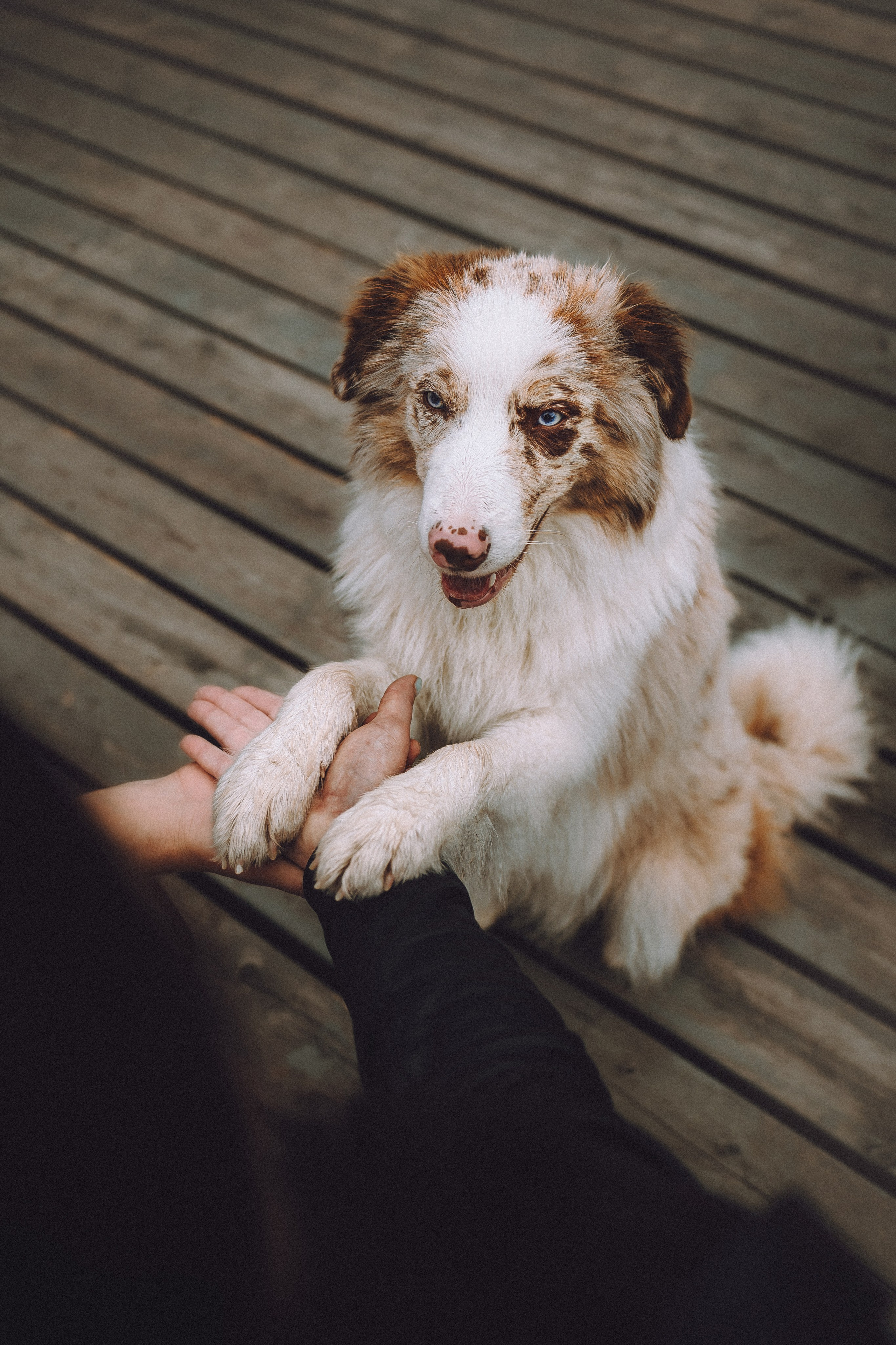 Один и его семья