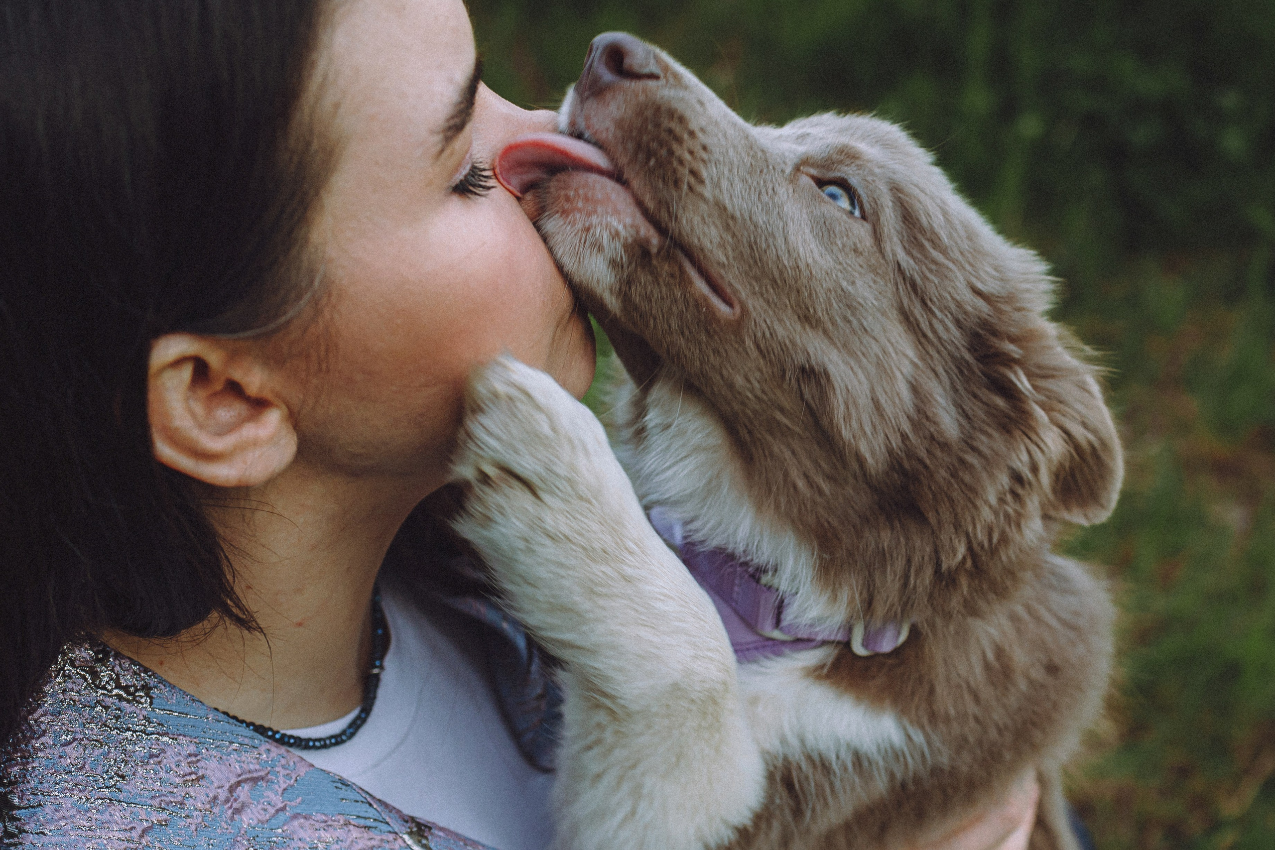 Полина, Милли и Пад