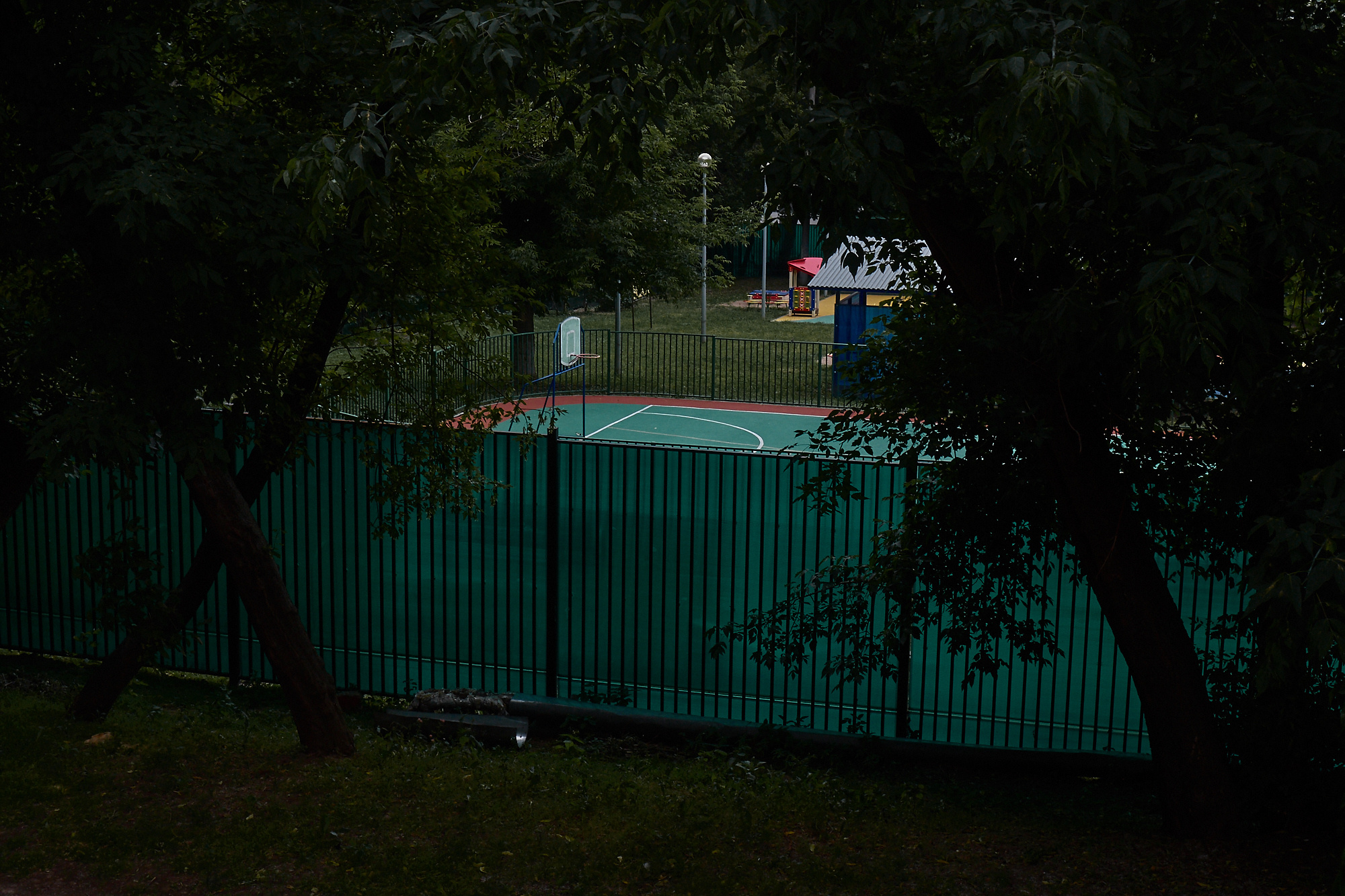 Забористая жизнь. Фотограф  Евгений Рыжов