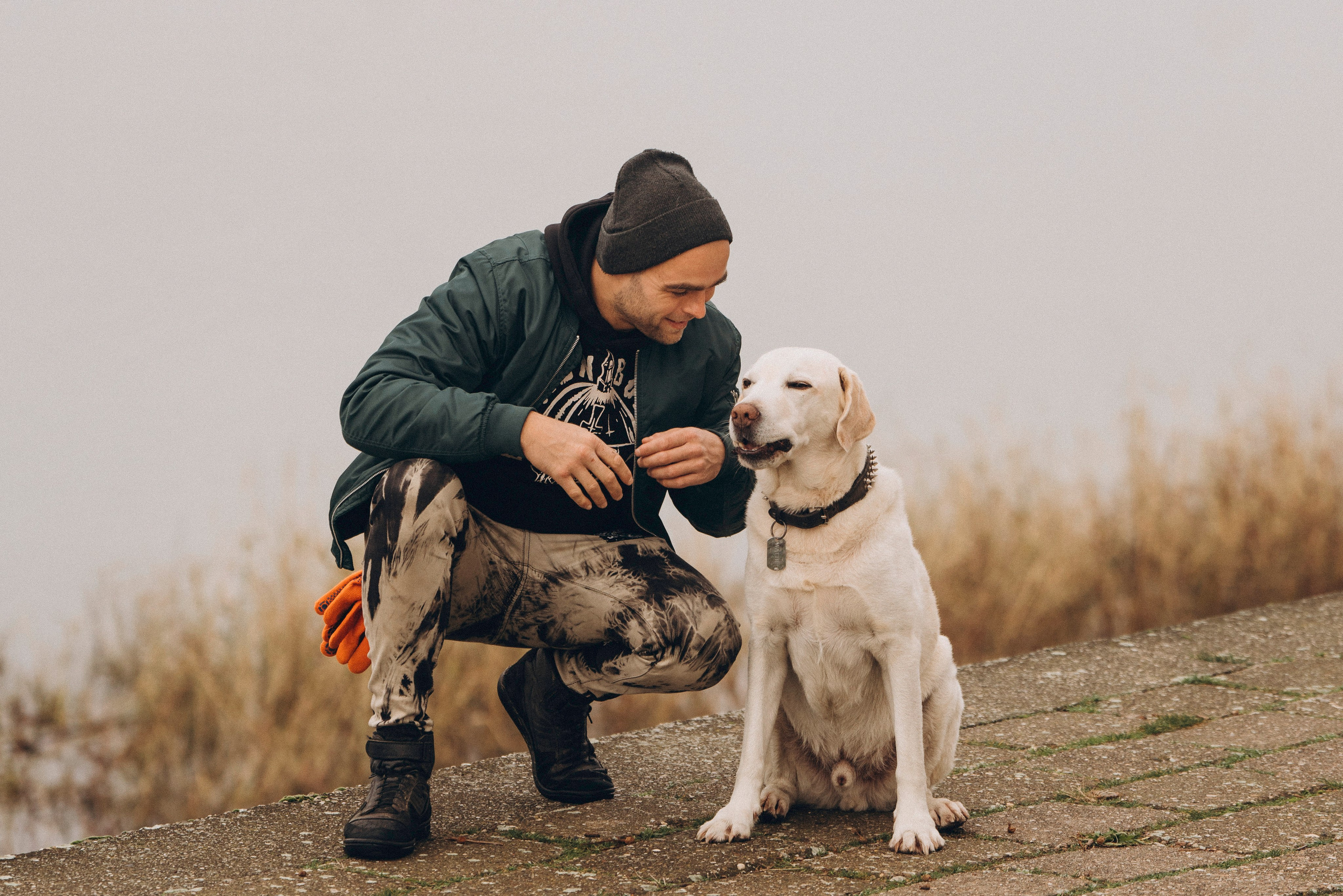 Вати, Лена и Леван. Фотограф анималист в Спб недорого Олеся Майорова