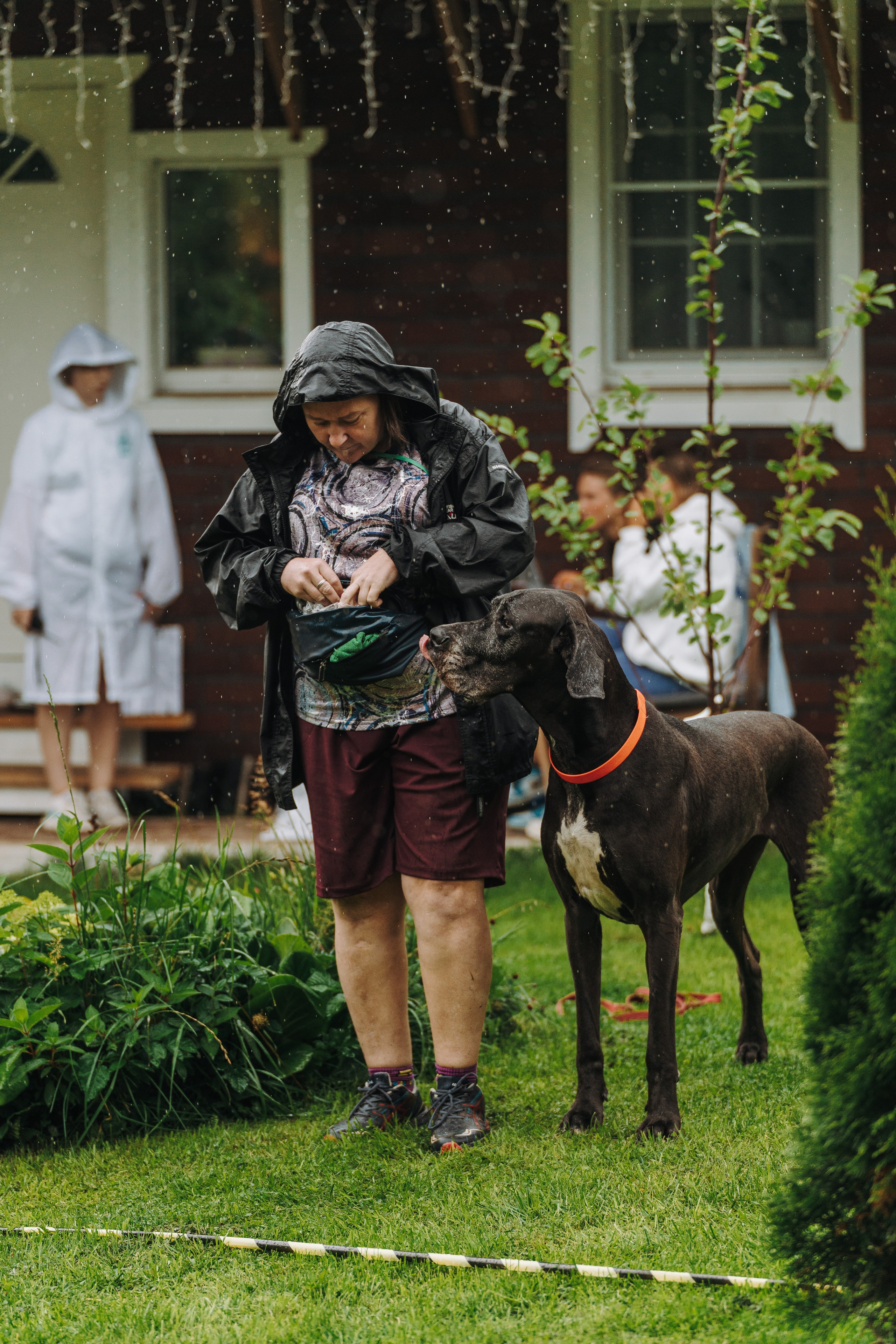 Соревнования по ноузворку в Новожилово. Фотограф анималист в Спб недорого Олеся Майорова