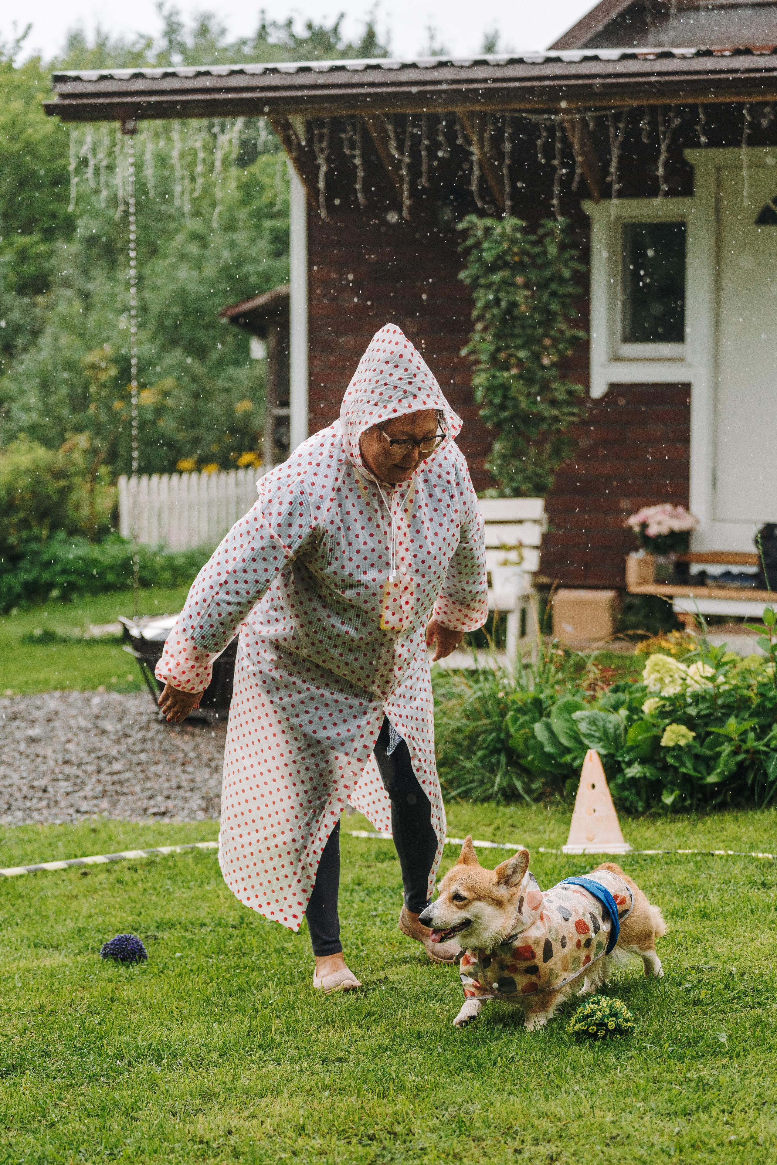 Соревнования по ноузворку в Новожилово. Фотограф анималист в Спб недорого Олеся Майорова