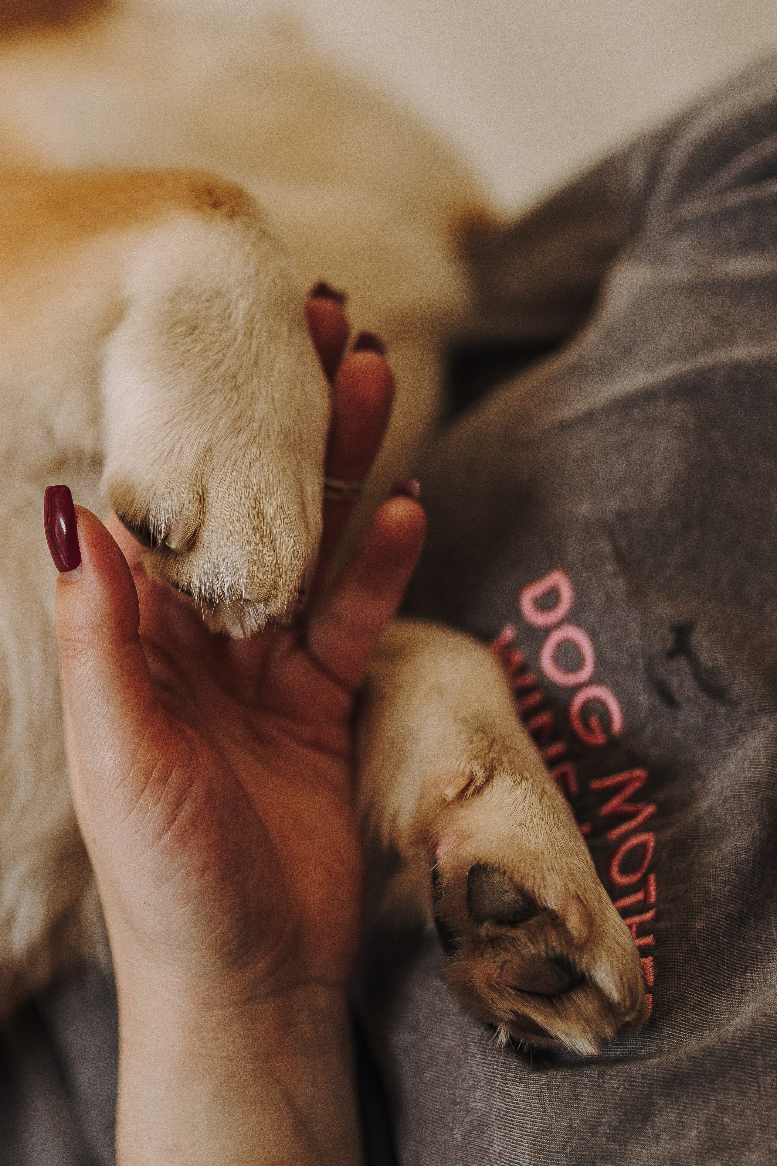 Александра и Бри. Фотограф анималист в Спб недорого Олеся Майорова