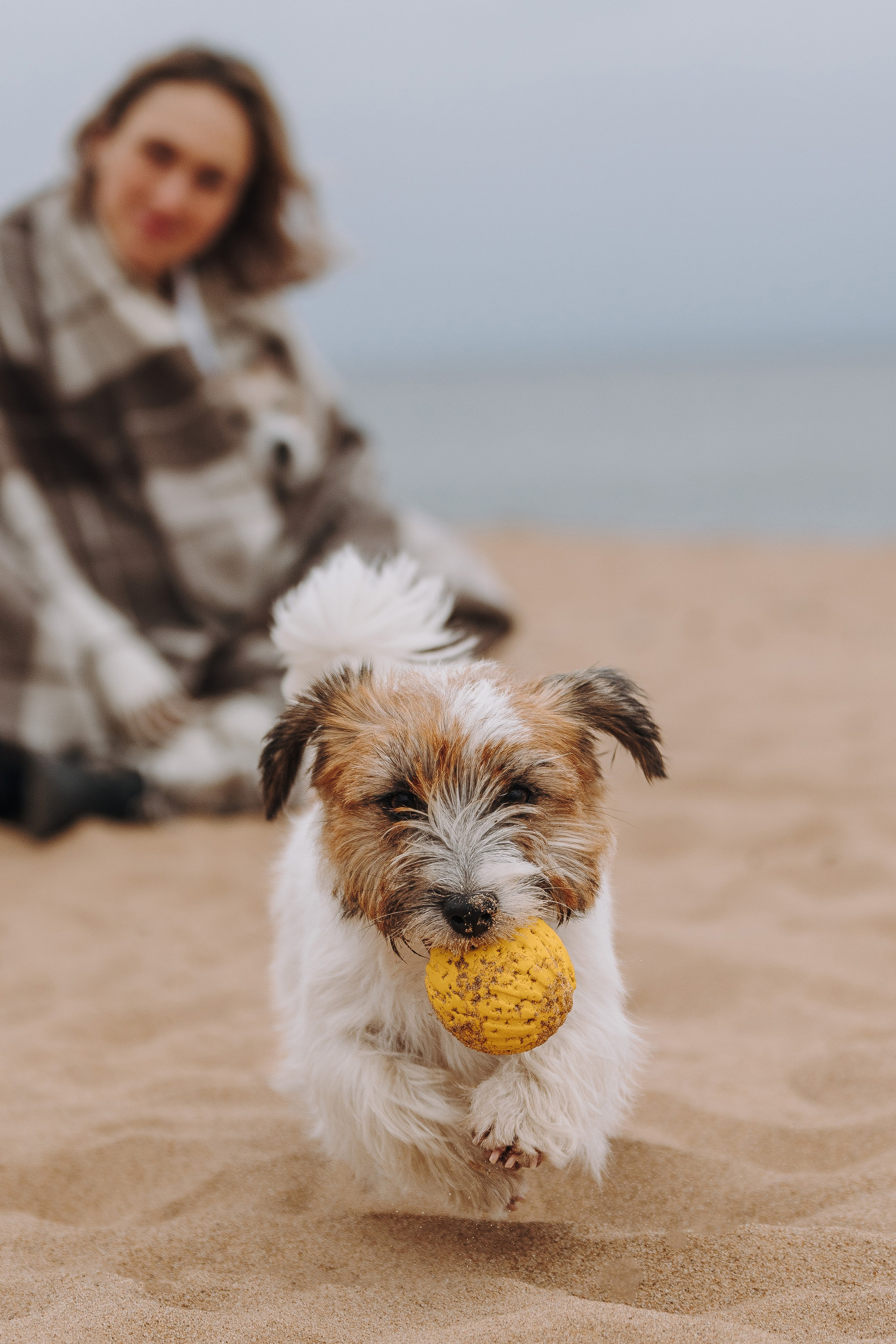 Оля, Ларс и Лукас. Фотограф анималист в Спб недорого Олеся Майорова