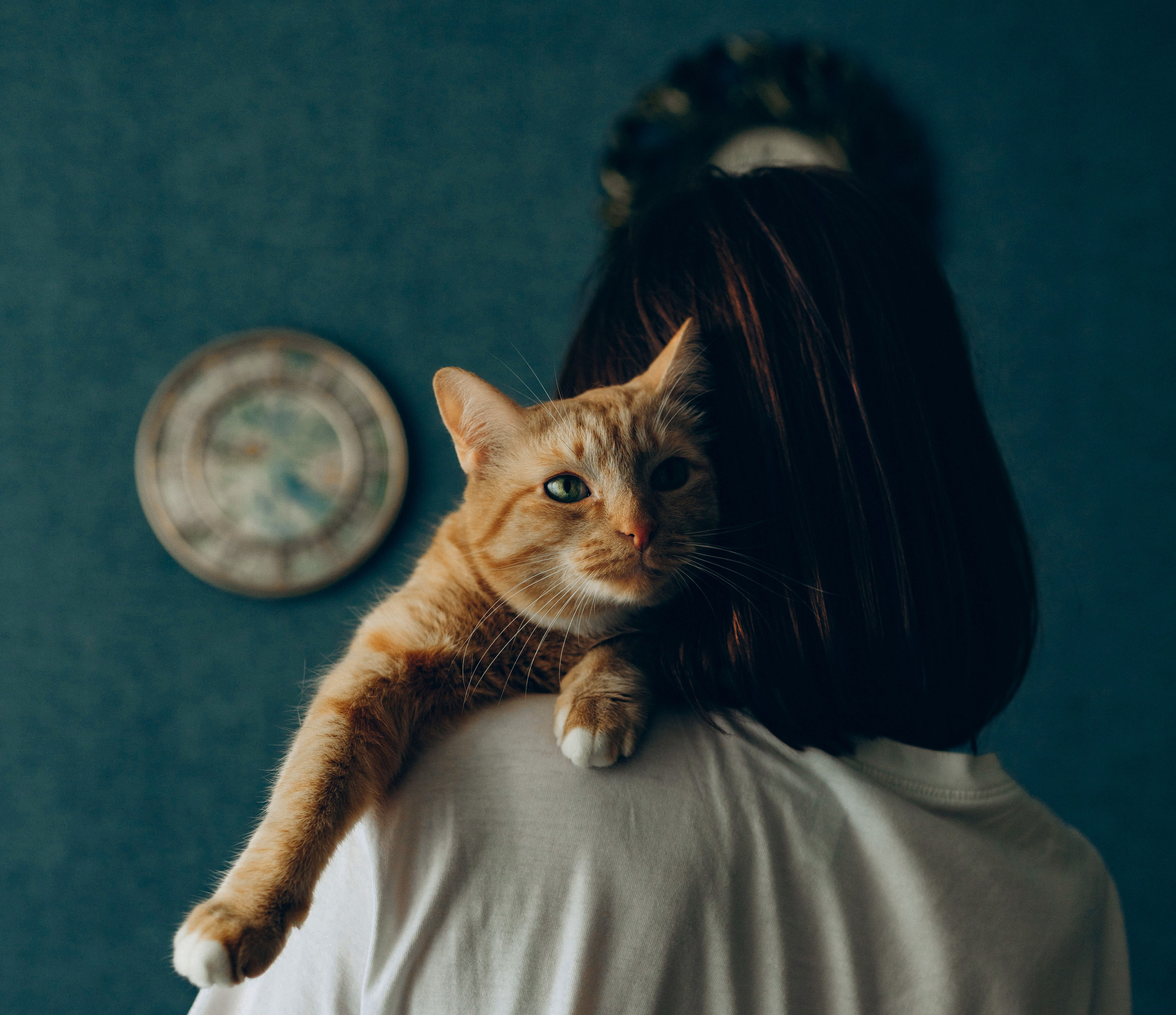 Даша и Брукс. Фотограф анималист в Спб недорого Олеся Майорова