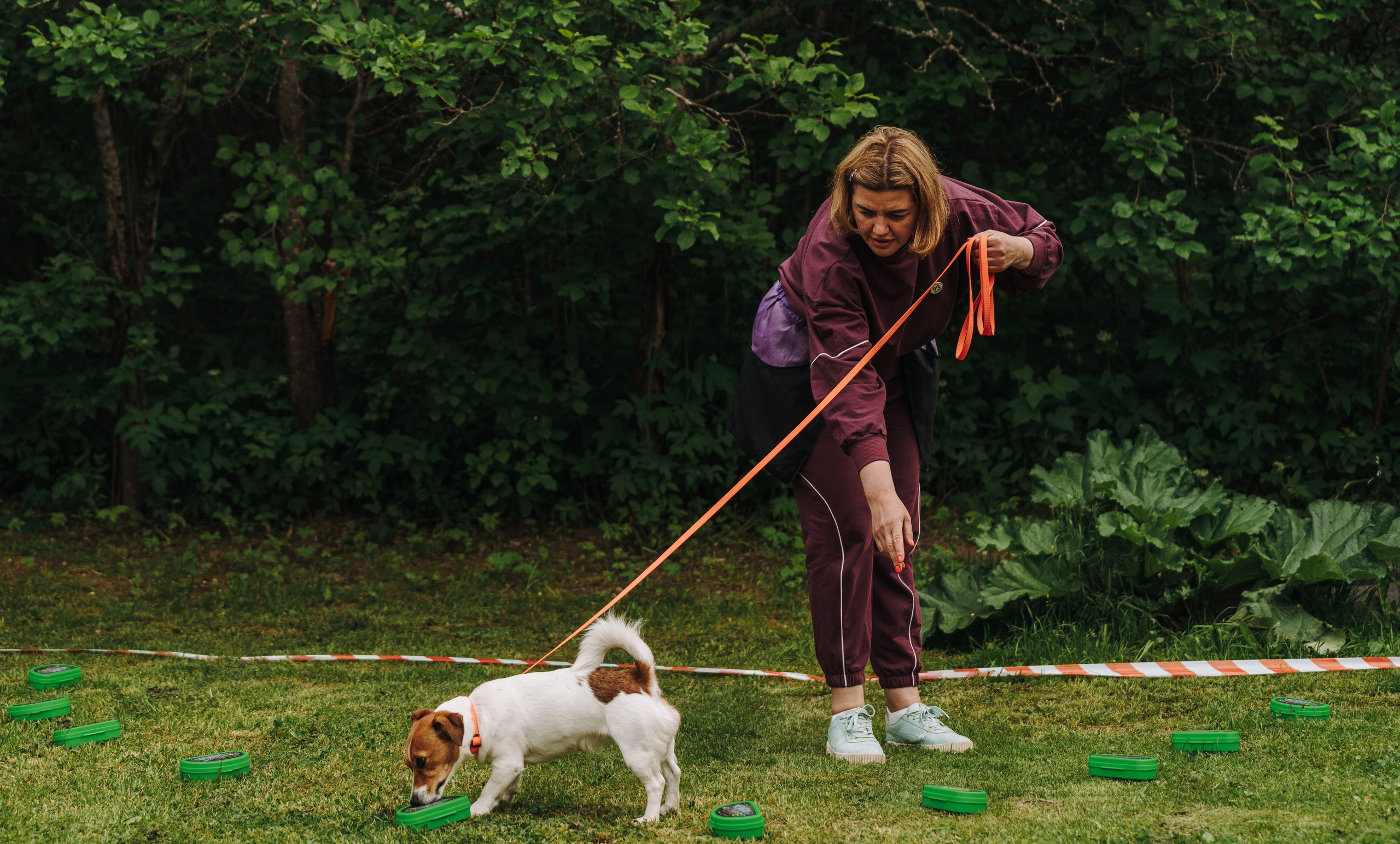 Соревнования по ноузворку. Фотограф анималист в Спб недорого Олеся Майорова