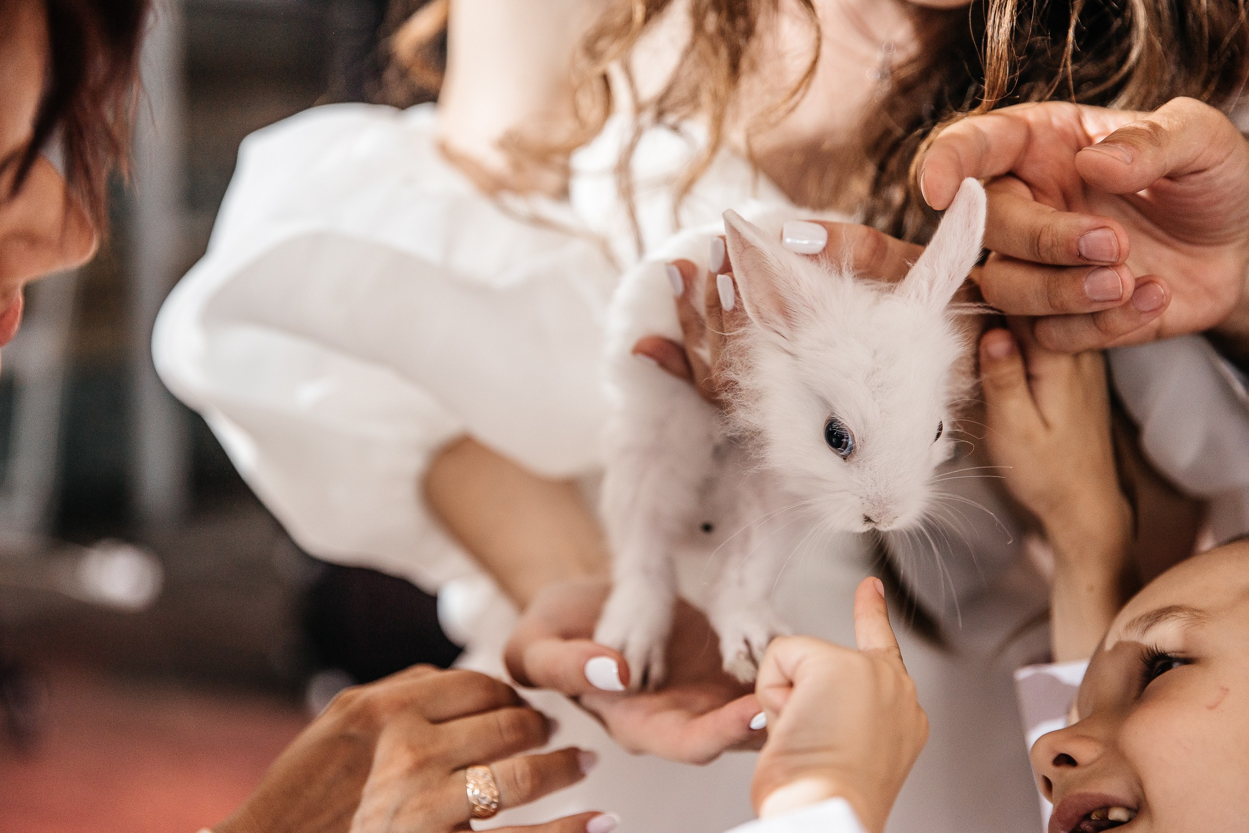 ANDREA & CATERINA. Свадебный фотограф в Ульяновске Владимир Лесников