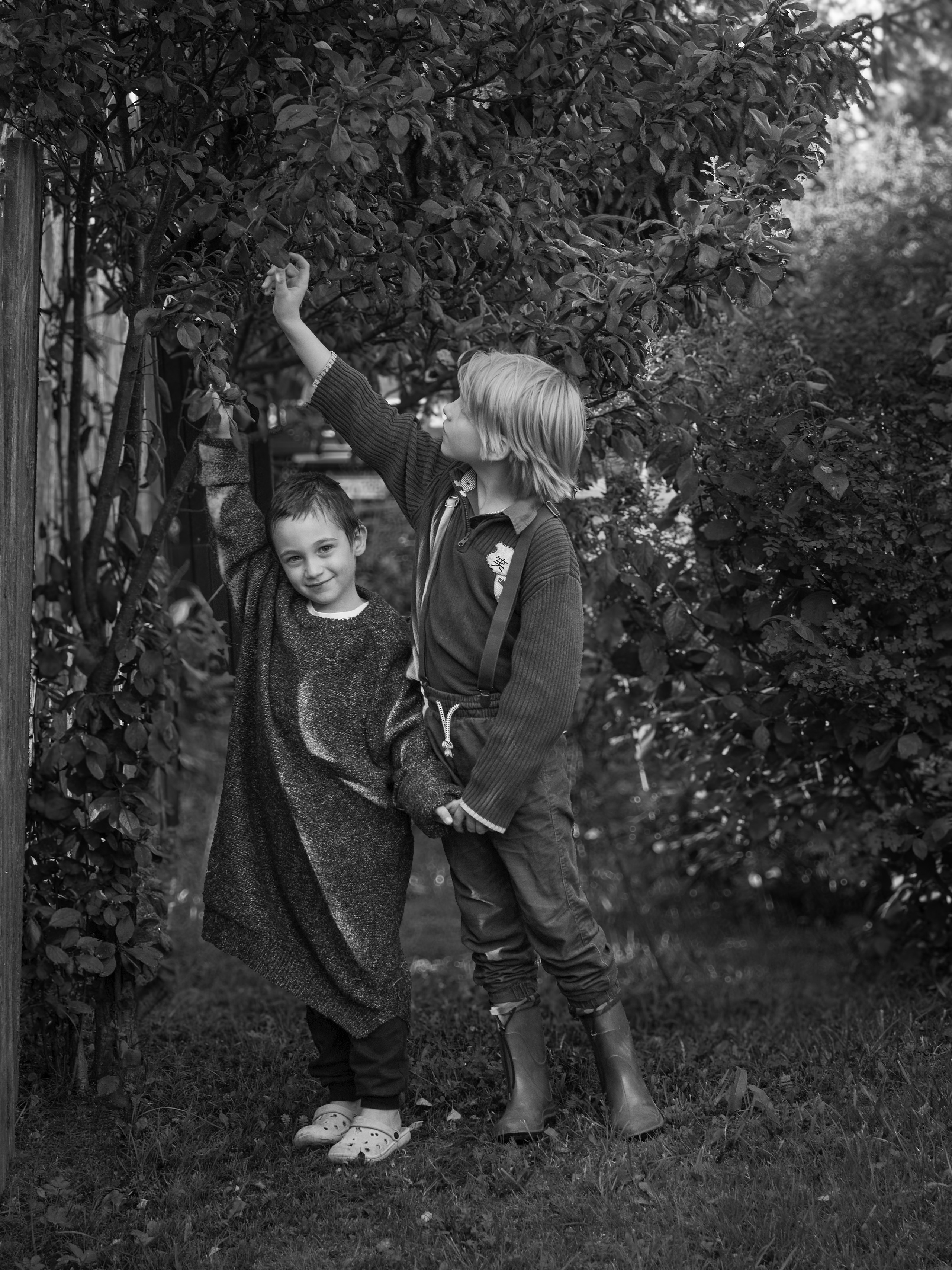 Даня и Витя. Предметный и семейный фотограф в Санкт-Петербурге Катерина Стеклова