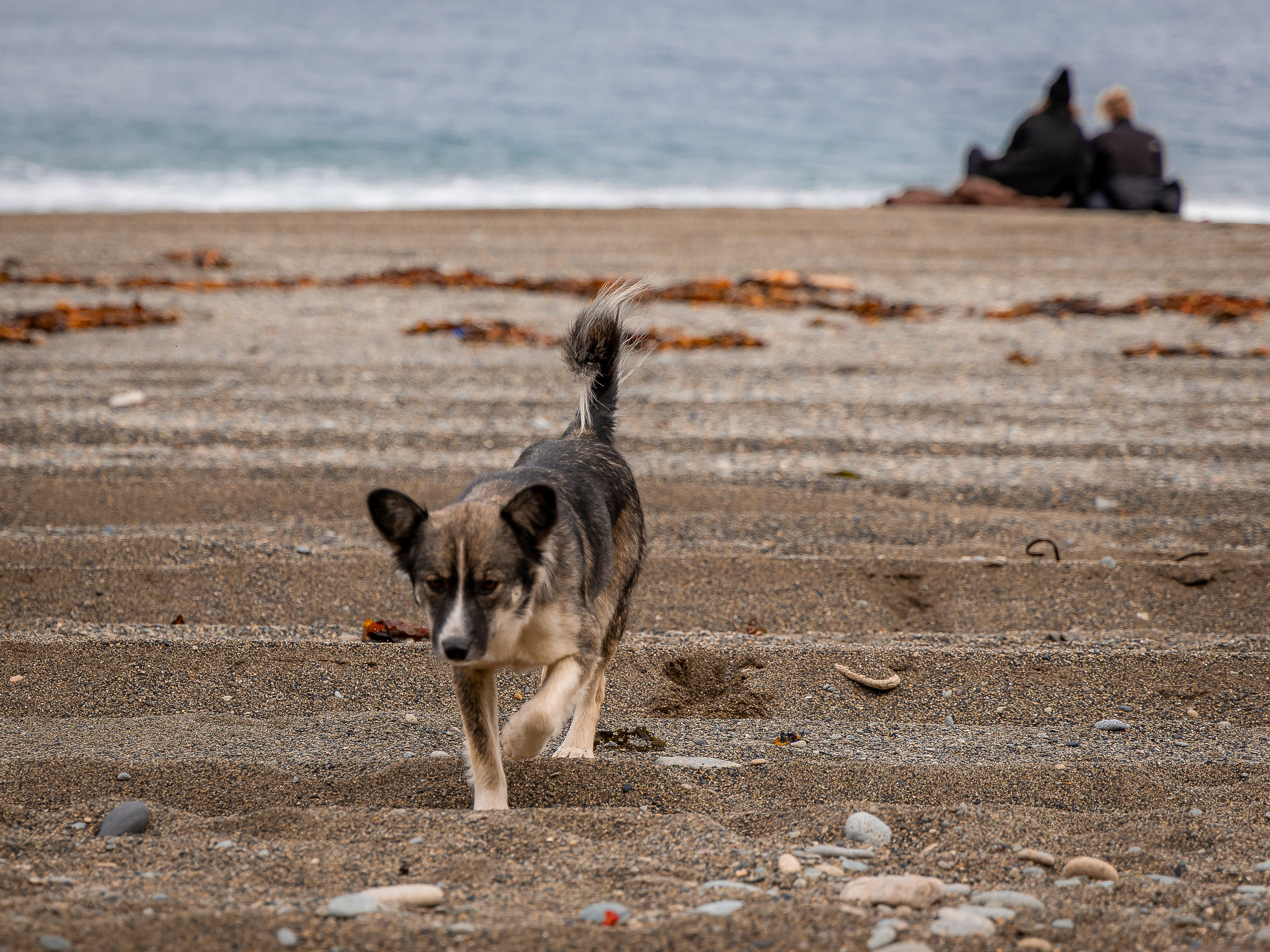Мыс Великан. Инга Кузьминская ТОП-фотограф г. Корсаков