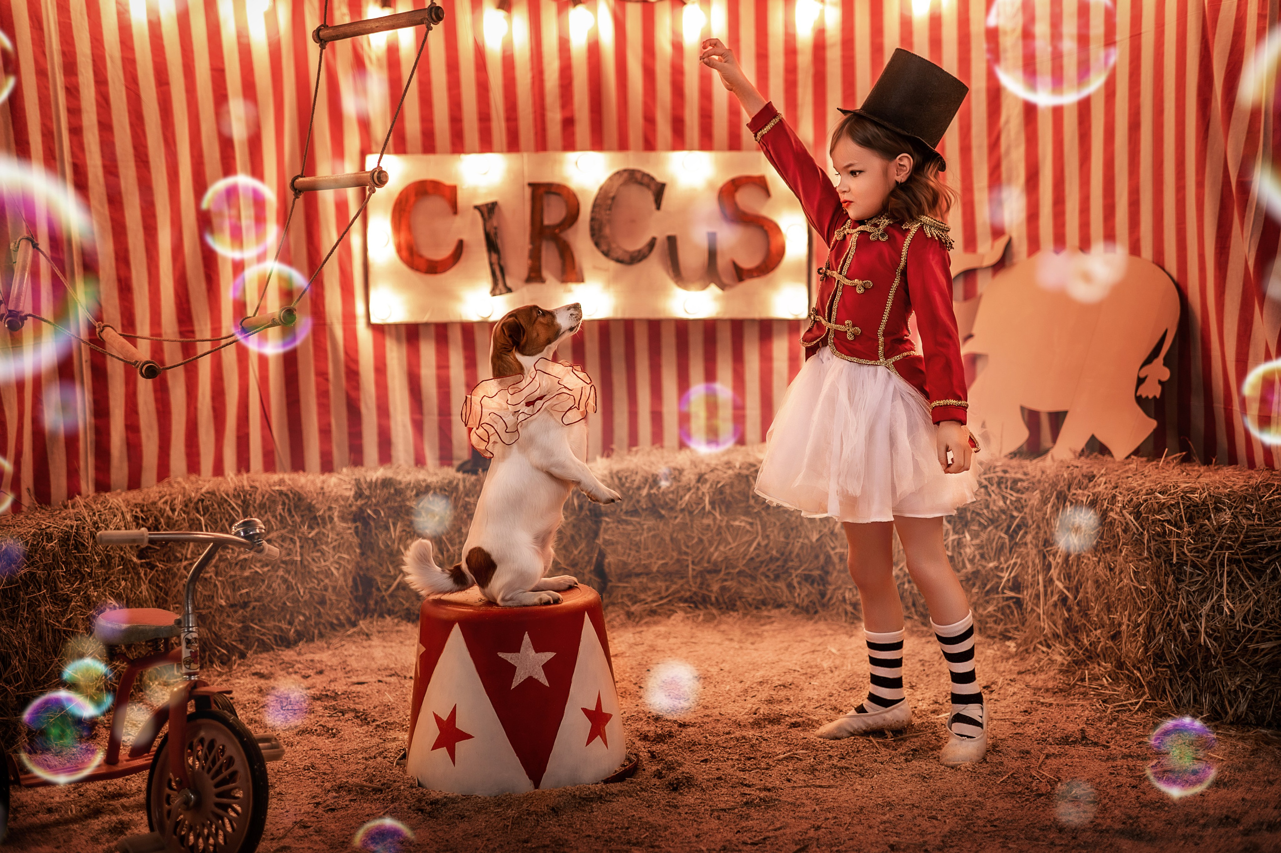 ШАПИТО. Семейный фотограф Екатеринбург Лора Мур