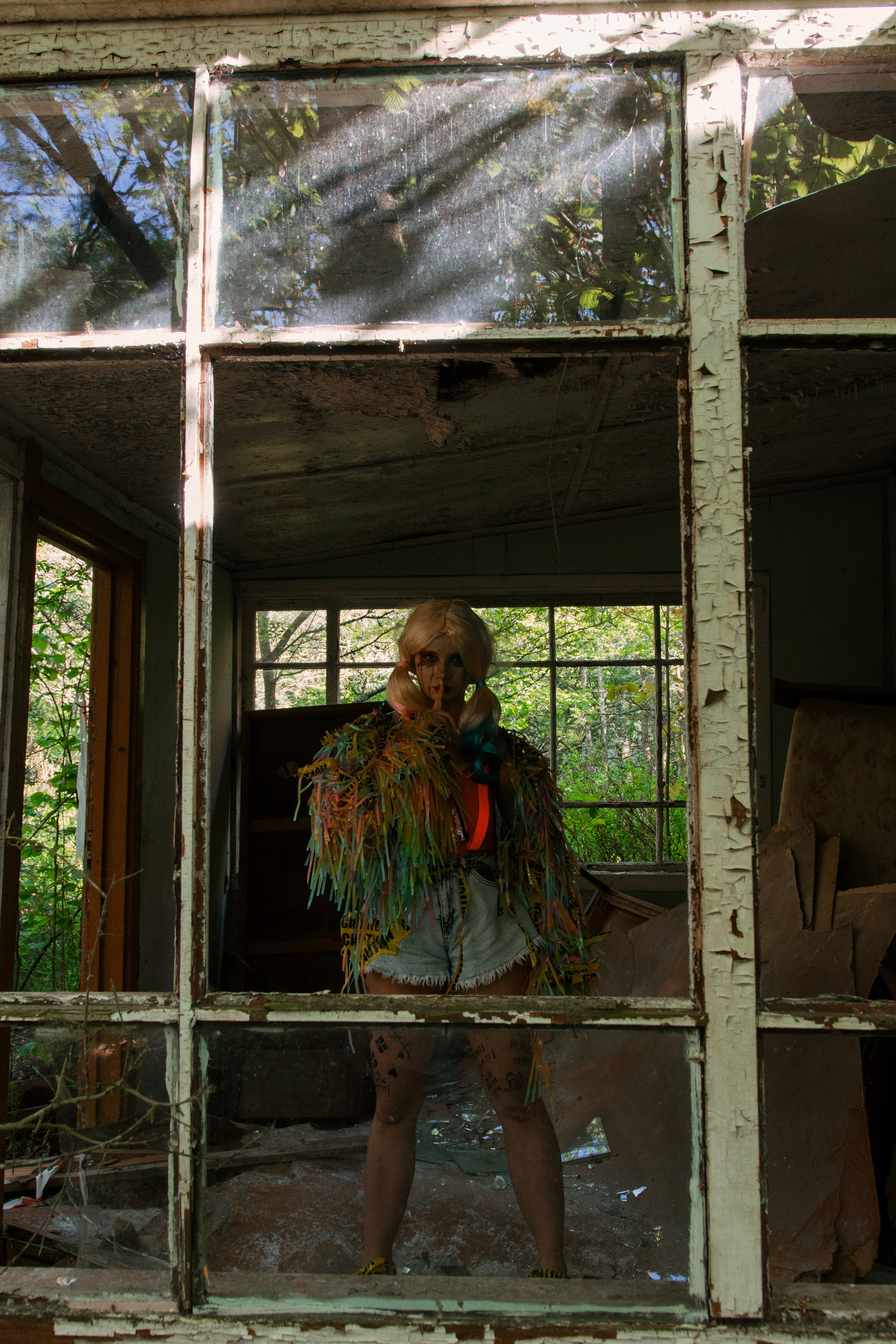 Харли Квин: заброшенная версия