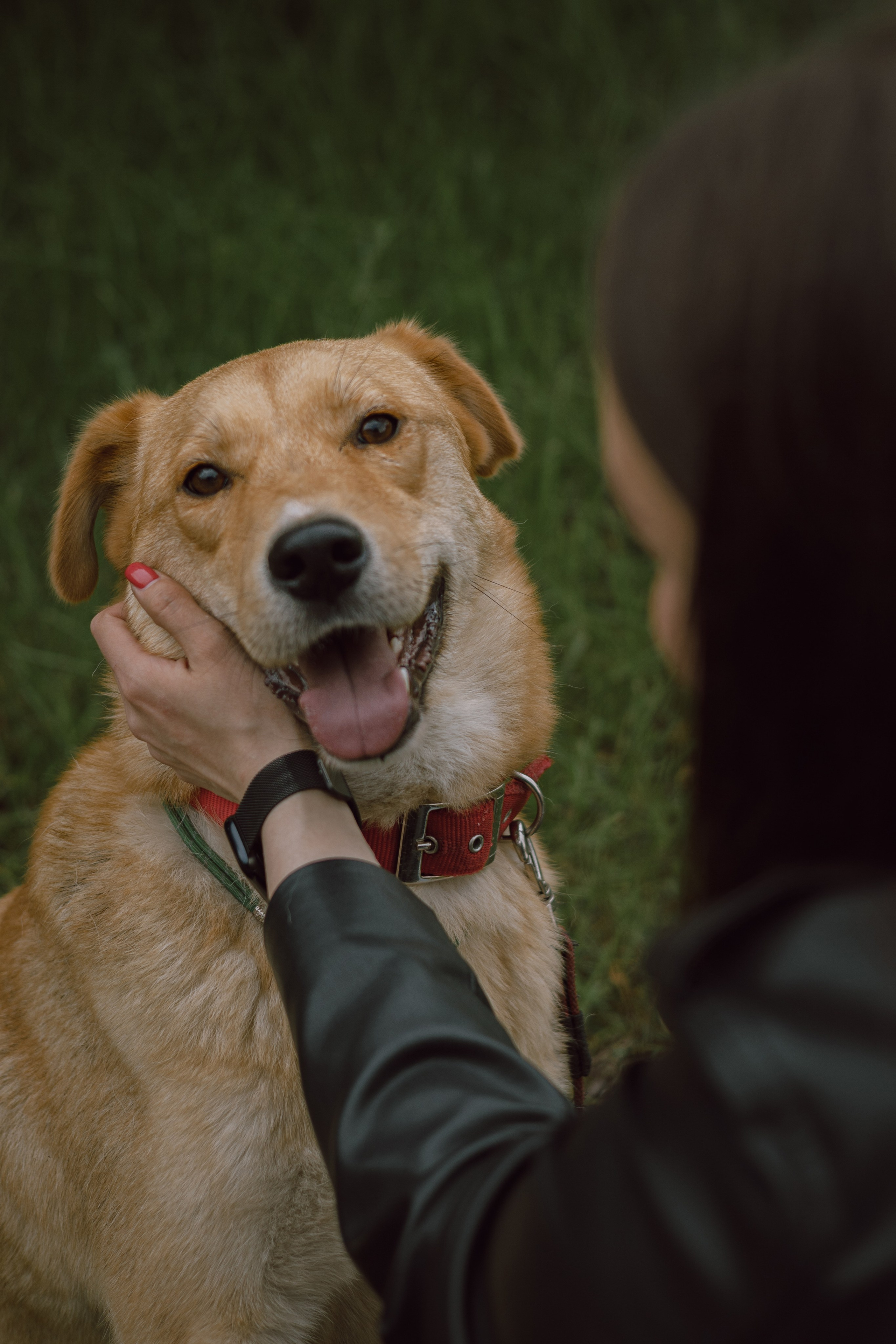 Света и Берт. Фотограф — анималист •love-story•|Санкт-Петербург